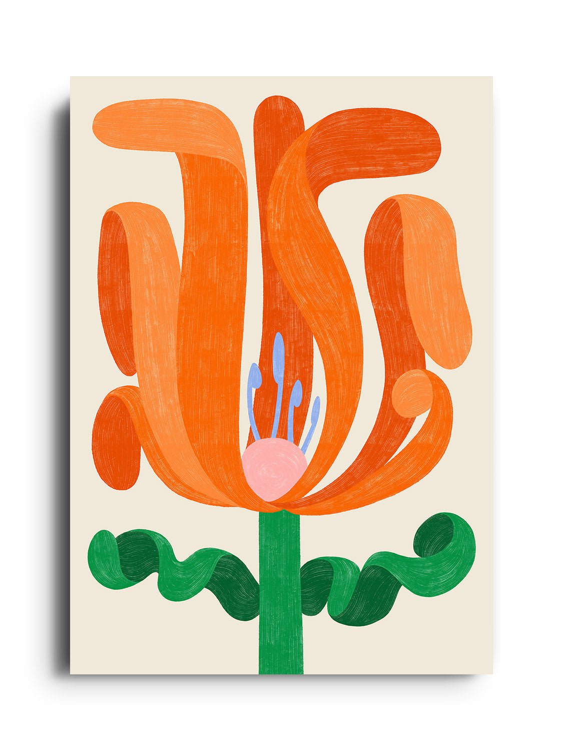 Wildflower - Manne Jalilian