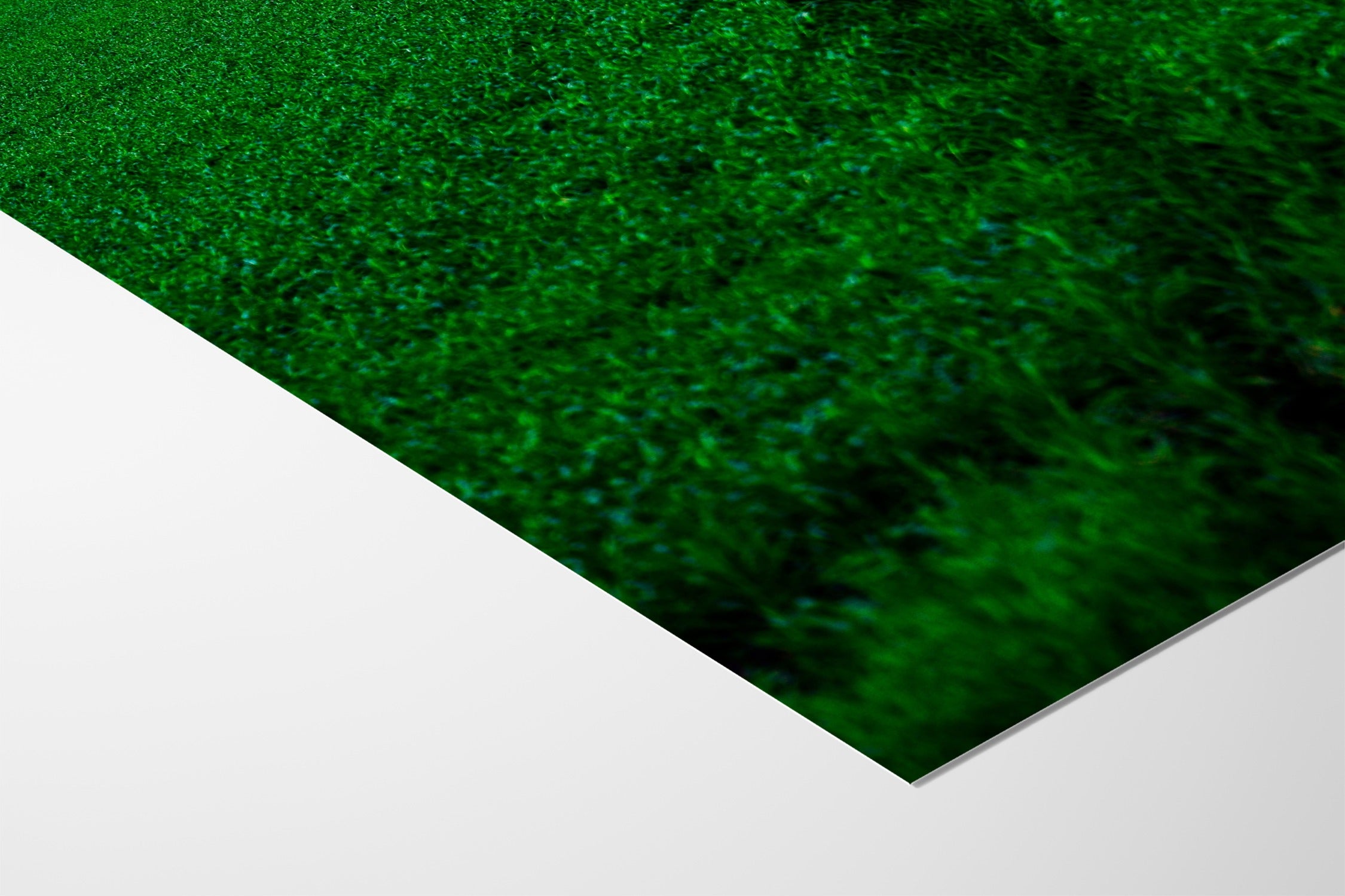 Track and Field - Tal Paz-Fridman - Fine Art Paper 200gsm |type=lifestyle|