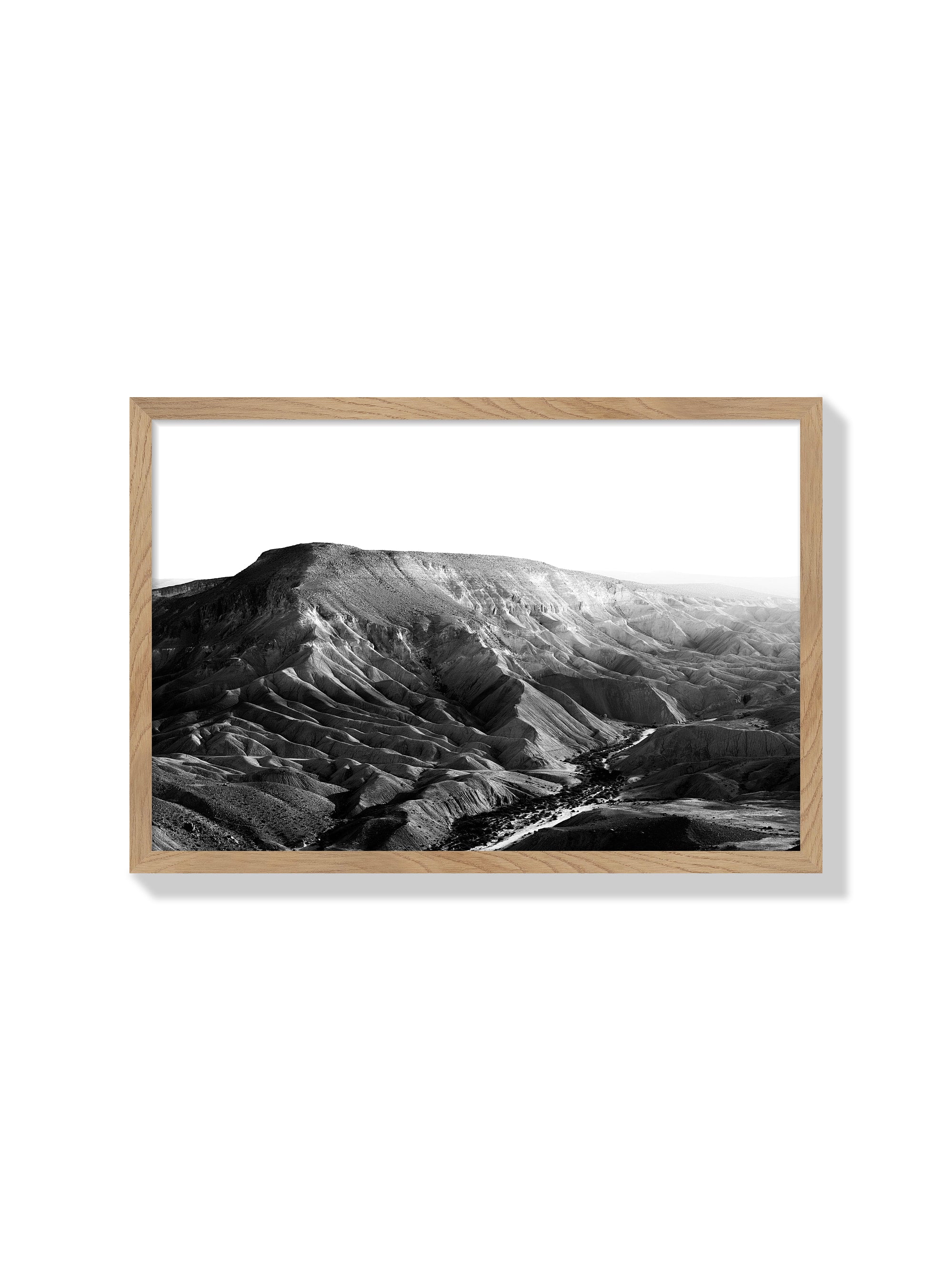 Nahal Zin - Tal Paz-Fridman - Natural Frame |frame=Natural Frame|