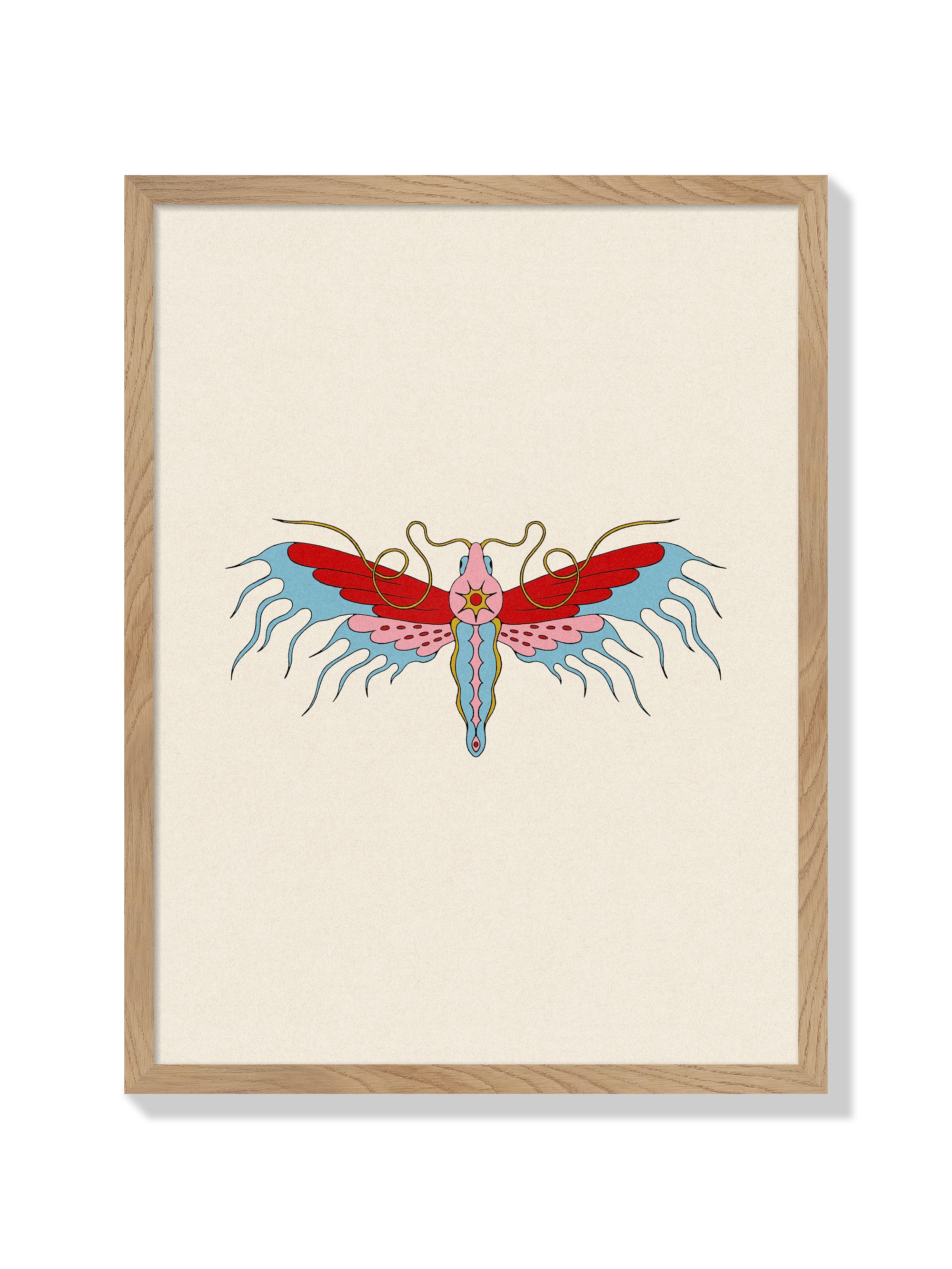 SYNANTHEDON TIPULIFORMIS - Maria Barrera - Natural Frame |frame=Natural Frame|