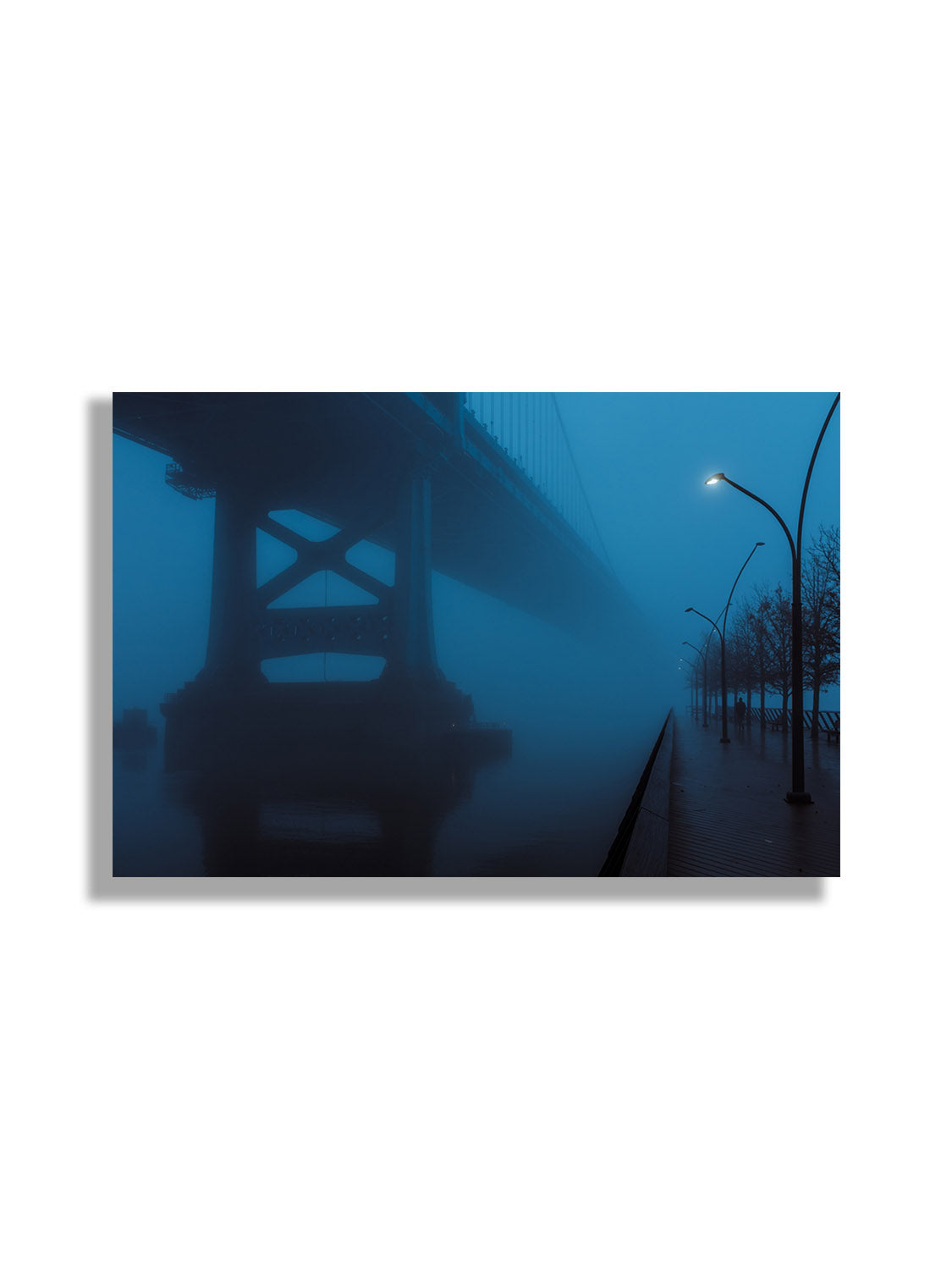 Benjamin Franklin Bridge - Leland Foster