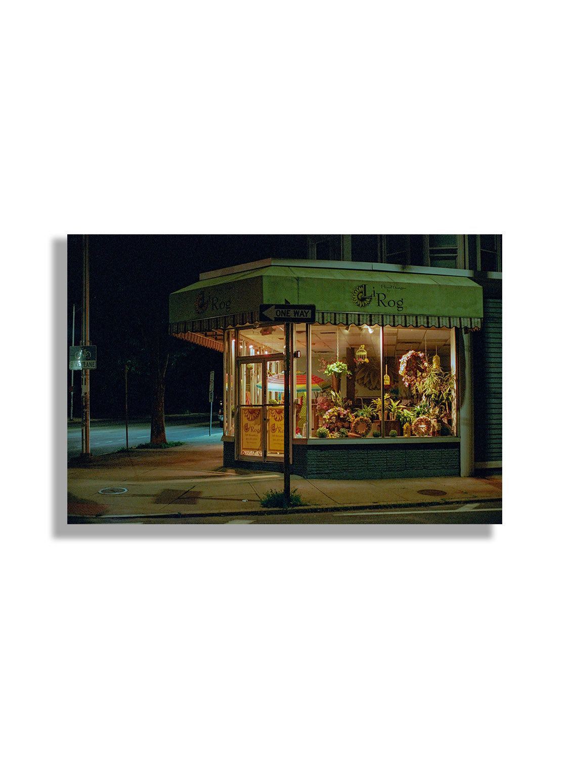 LiRog - Leland Foster