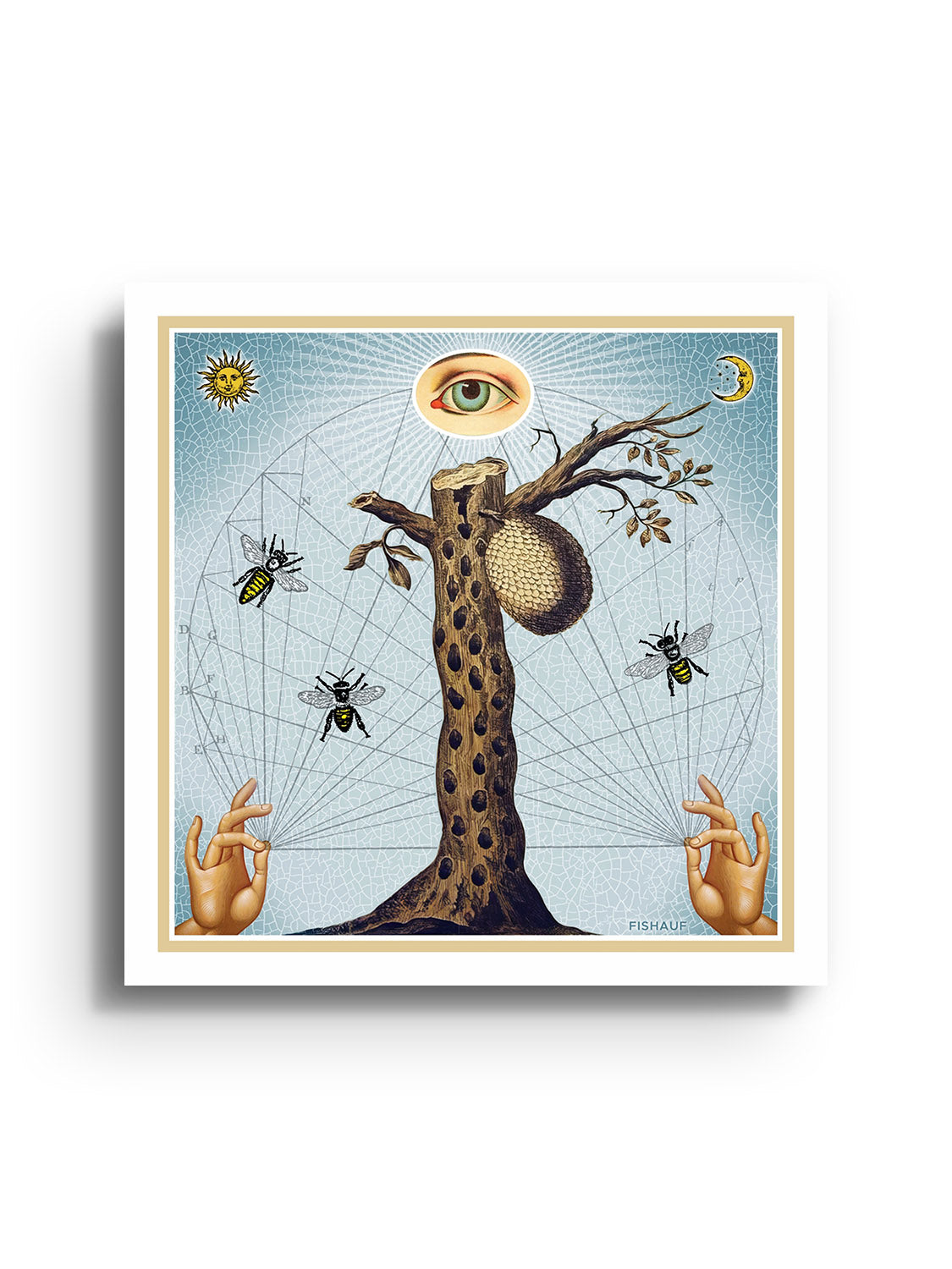 BEEHIVE - Louis Fishauf