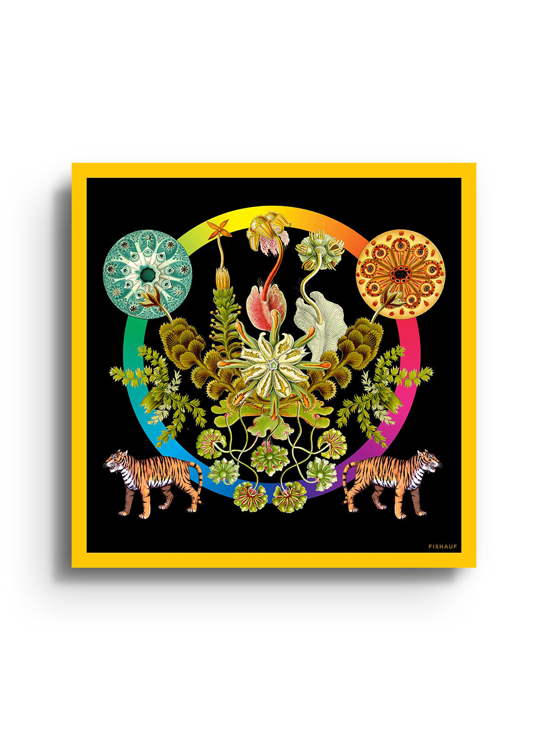 FLORA - Louis Fishauf