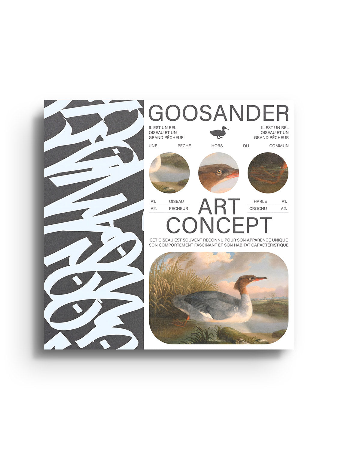 Goosander - Matéo Mace