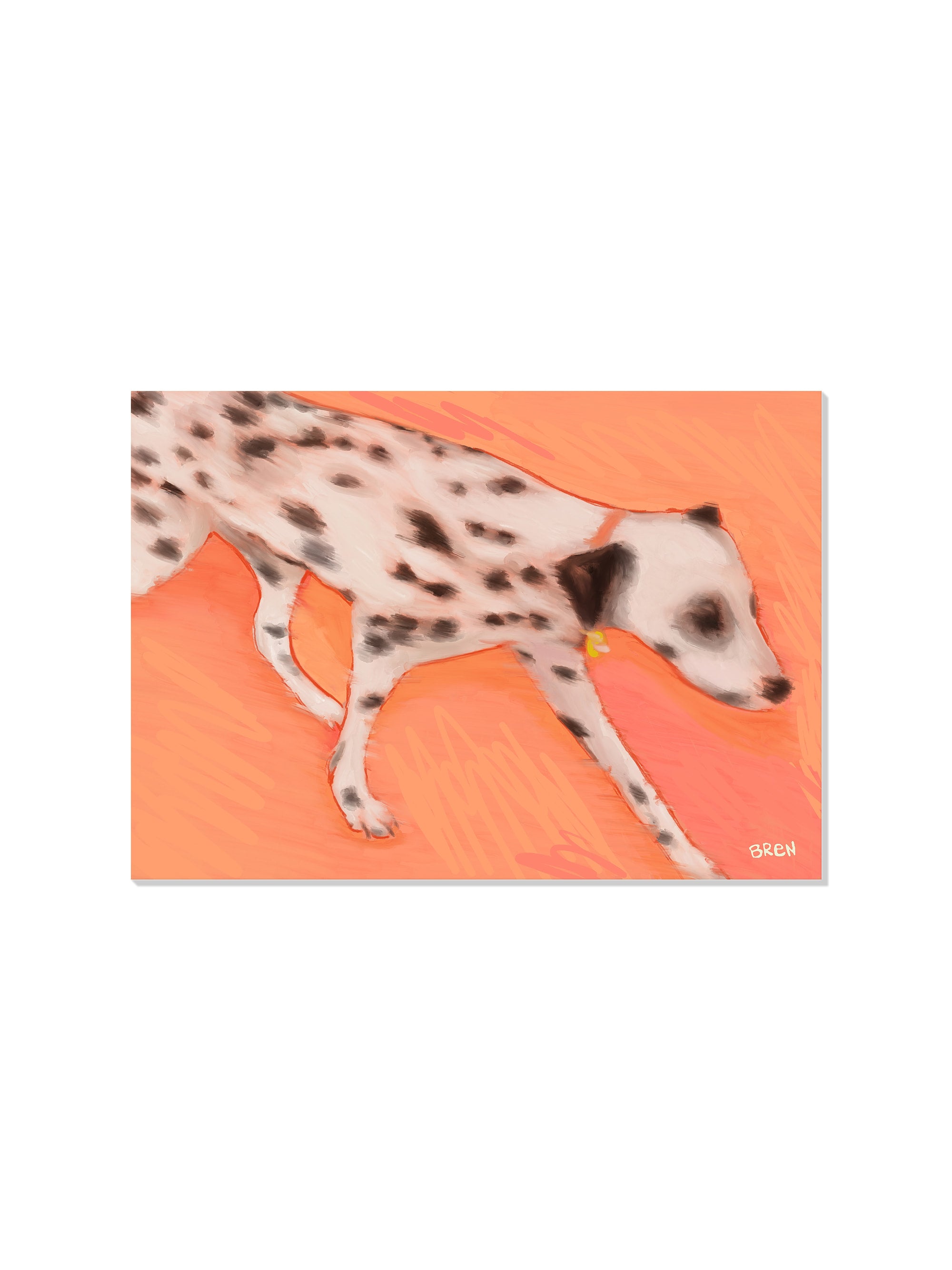 Running Dalmation - Scared of Moths - Unframed |frame=Unframed|