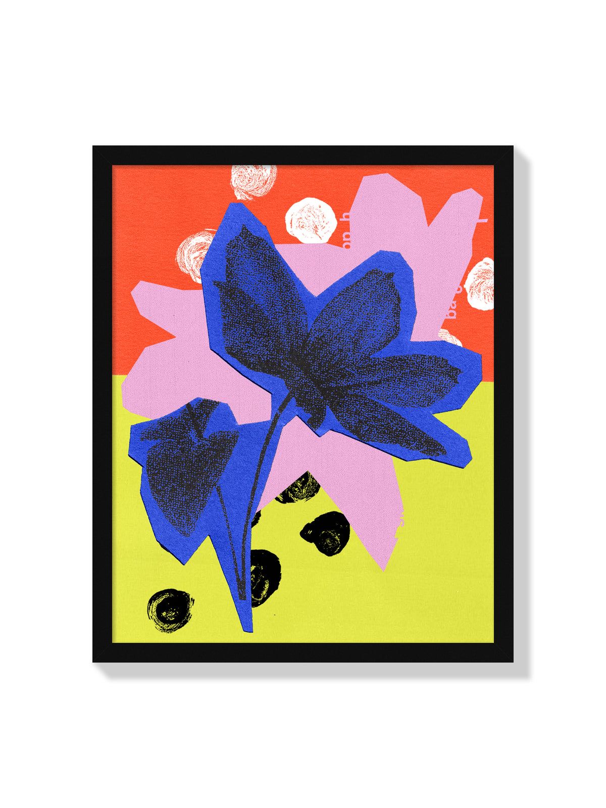 Clematis Flower - Sian Roper - Black Frame |frame=Black Frame|