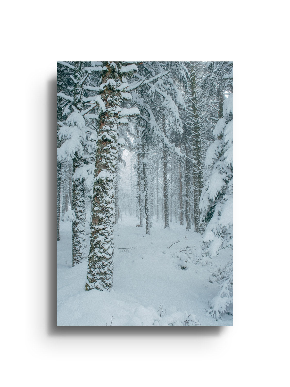 Snowdonia - Valentin Meaux