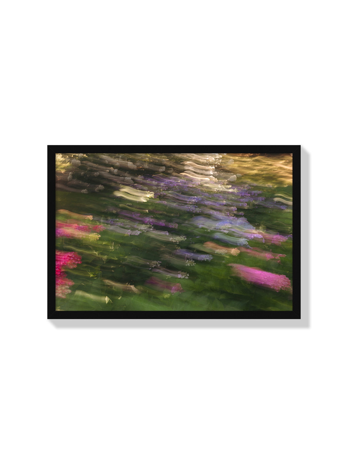 Impressions Of A Hydrangea Garden - Christina Bedetta Willett - Black Frame |frame=Black Frame|