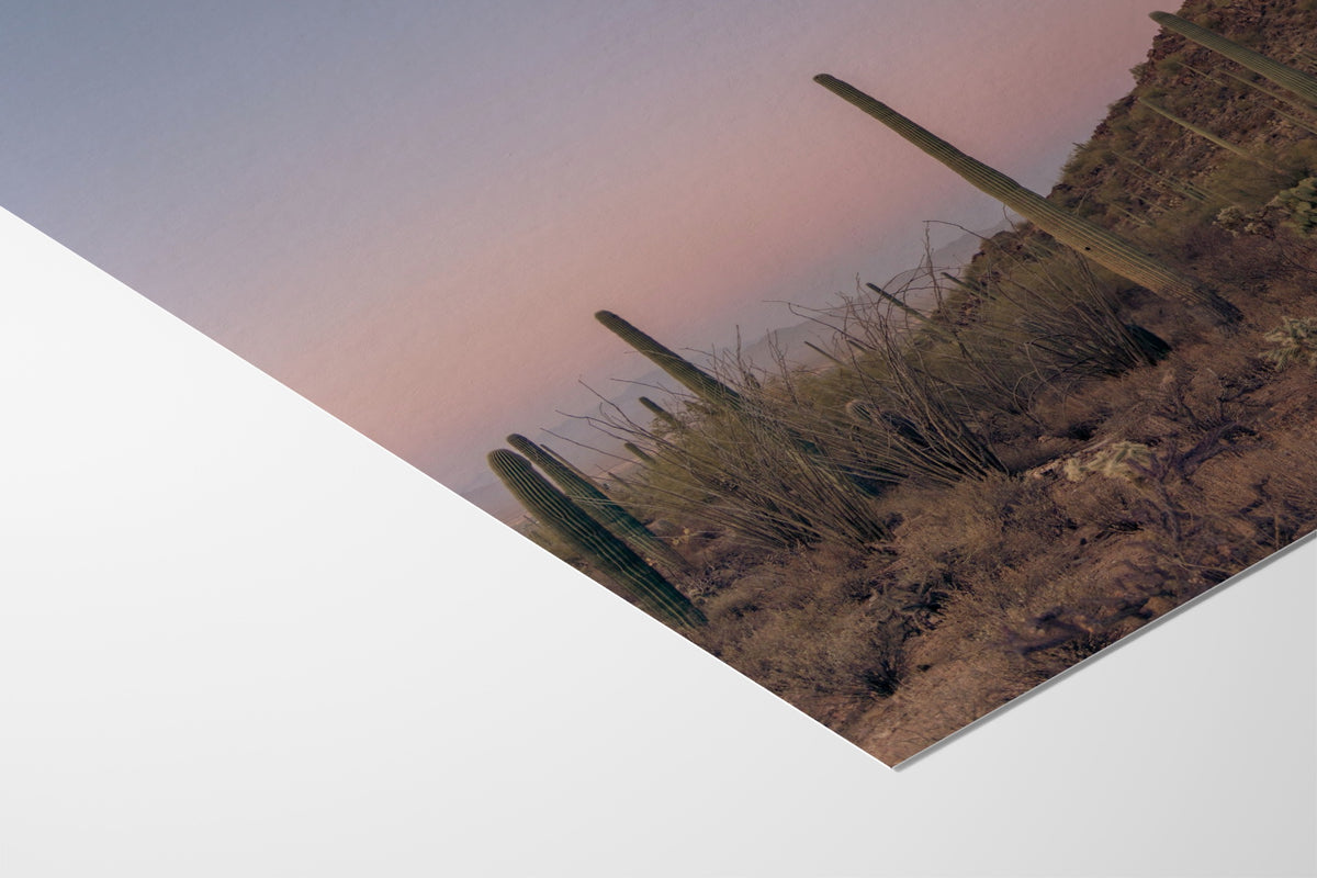 Desert Sunrise - Christina Bedetta Willett - Fine Art Paper 200gsm |type=paper|