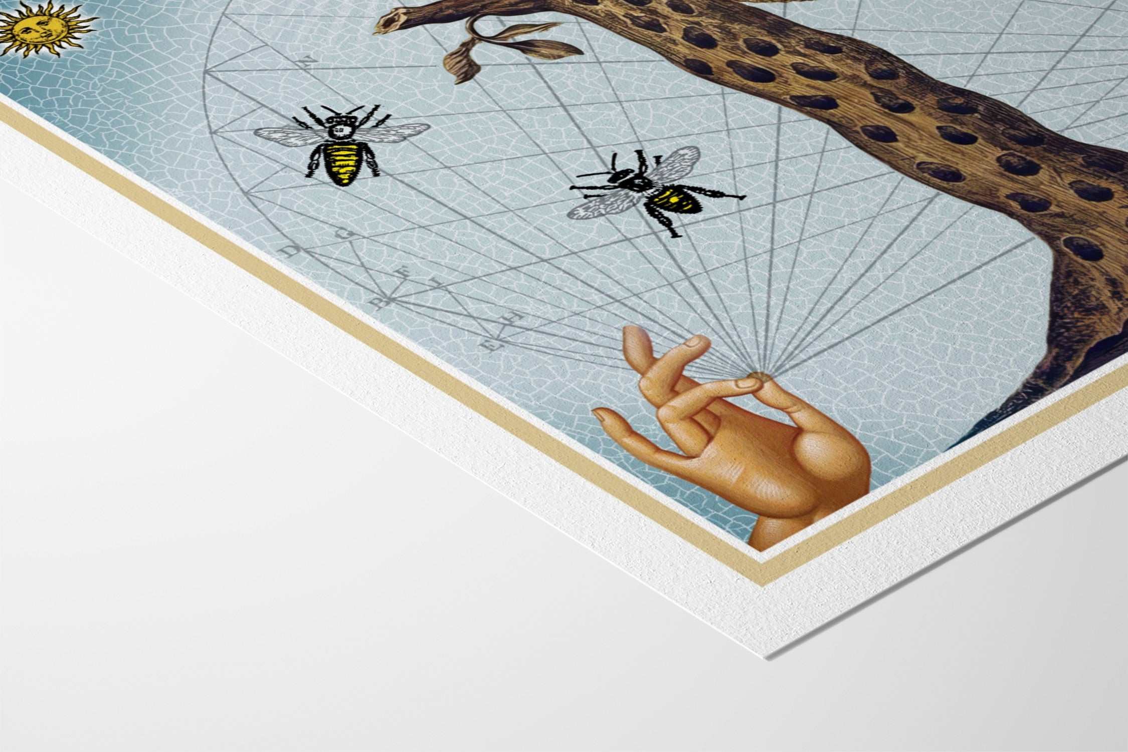 BEEHIVE - Louis Fishauf - Hahnemuhle German Etching 310gsm |frame=Hahnemuhle German Etching 310gsm|