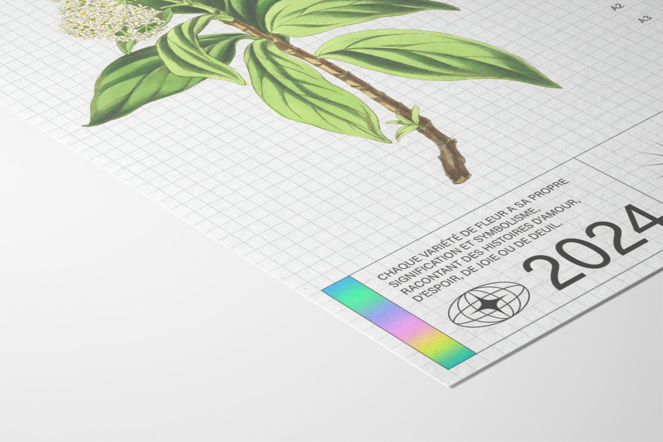 Delicate - Matéo Mace - Fine Art Paper 200gsm |frame=Fine Art Paper 200gsm|