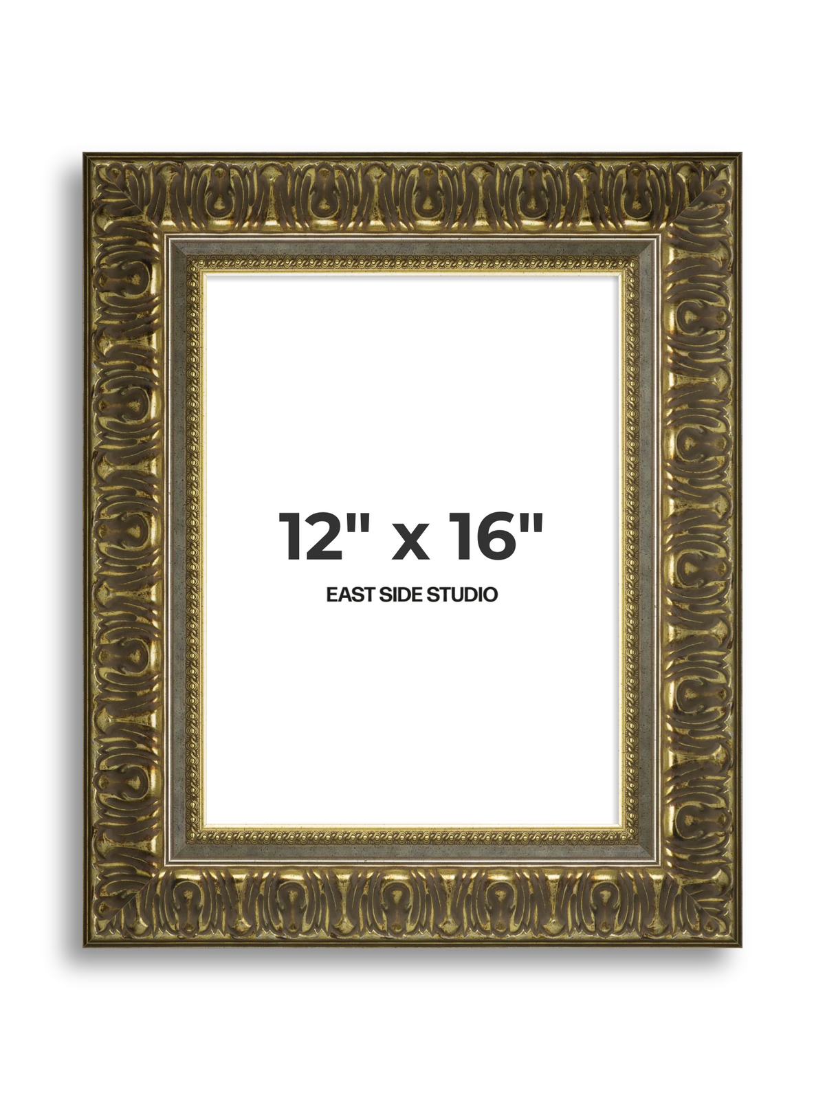 Volute Silver Gold 12" x 16" picture frame