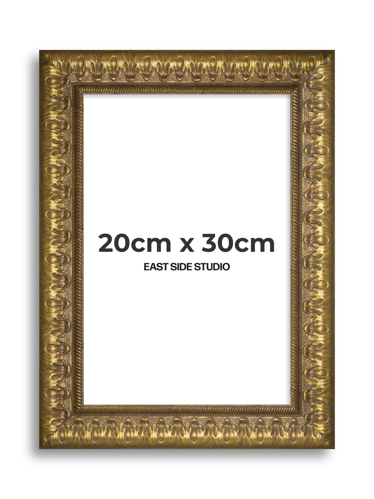 Plume Gold 20cm x 30cm picture frame