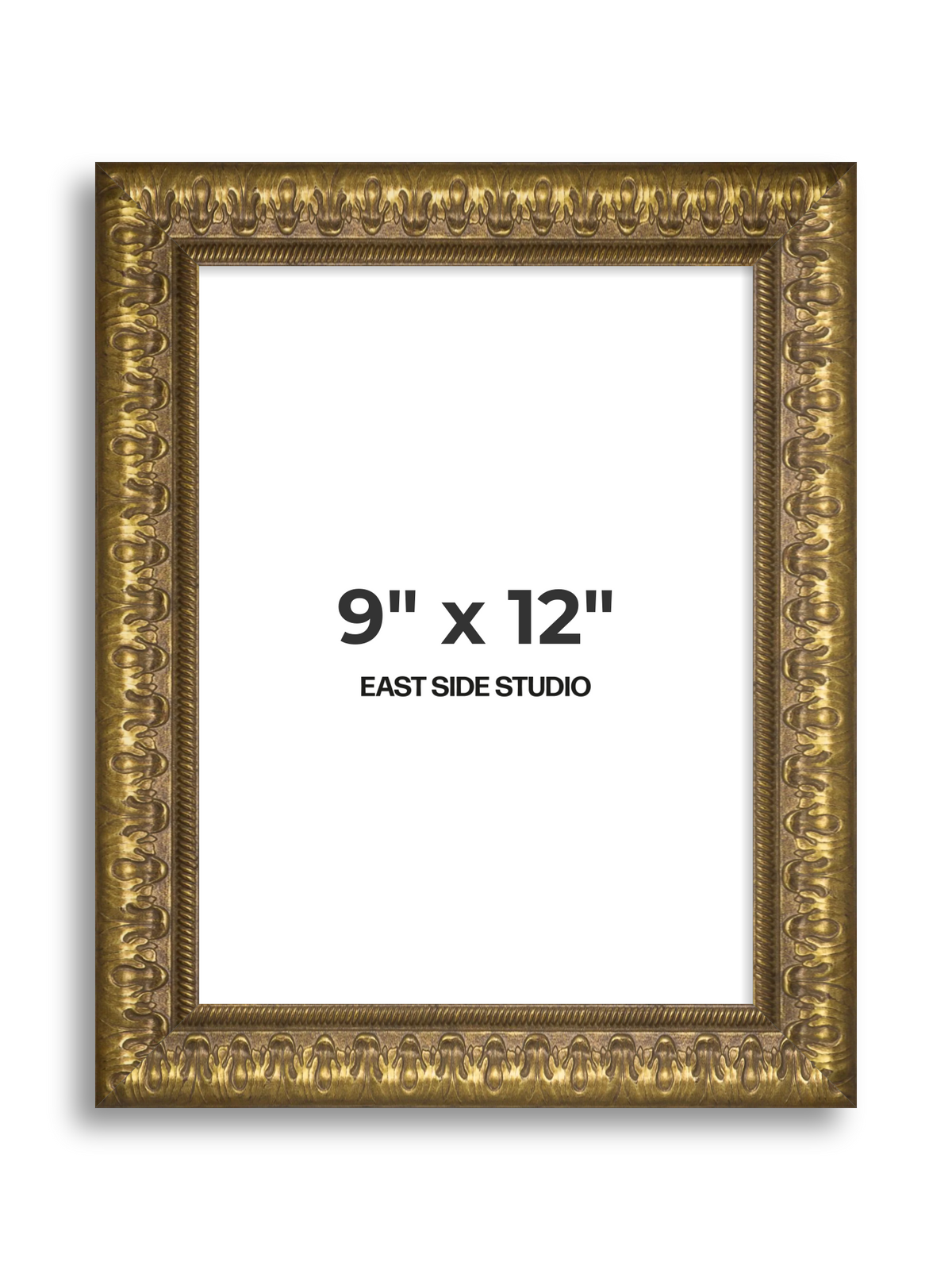 Plume Gold 9" x 12" picture frame