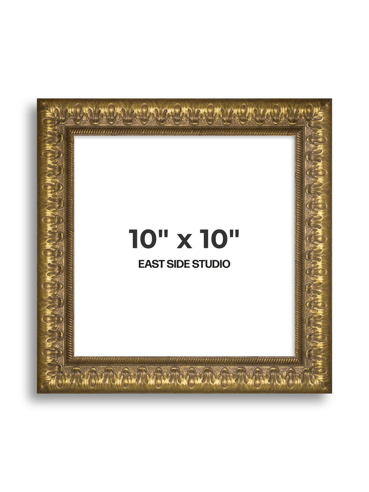 Plume Gold 10" x 10" picture frame
