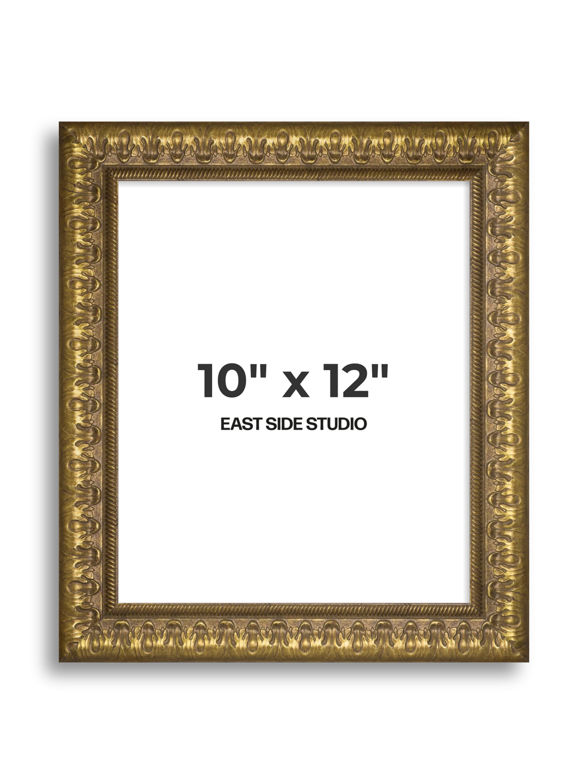Plume Gold 10" x 12" picture frame