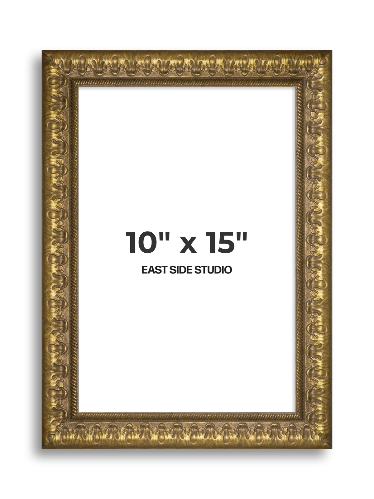 Plume Gold 10" x 15" picture frame