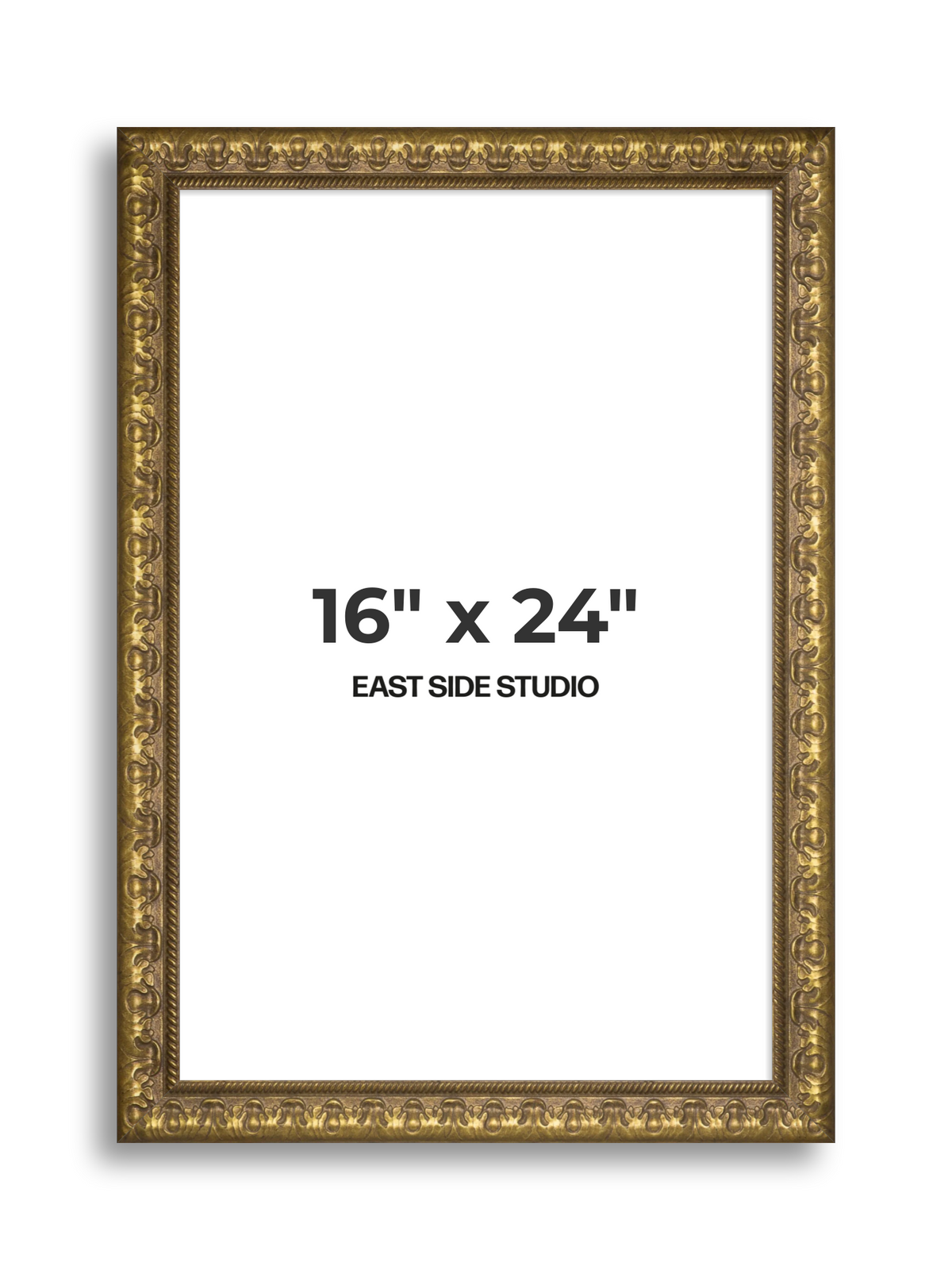 Plume Gold 16" x 24" picture frame