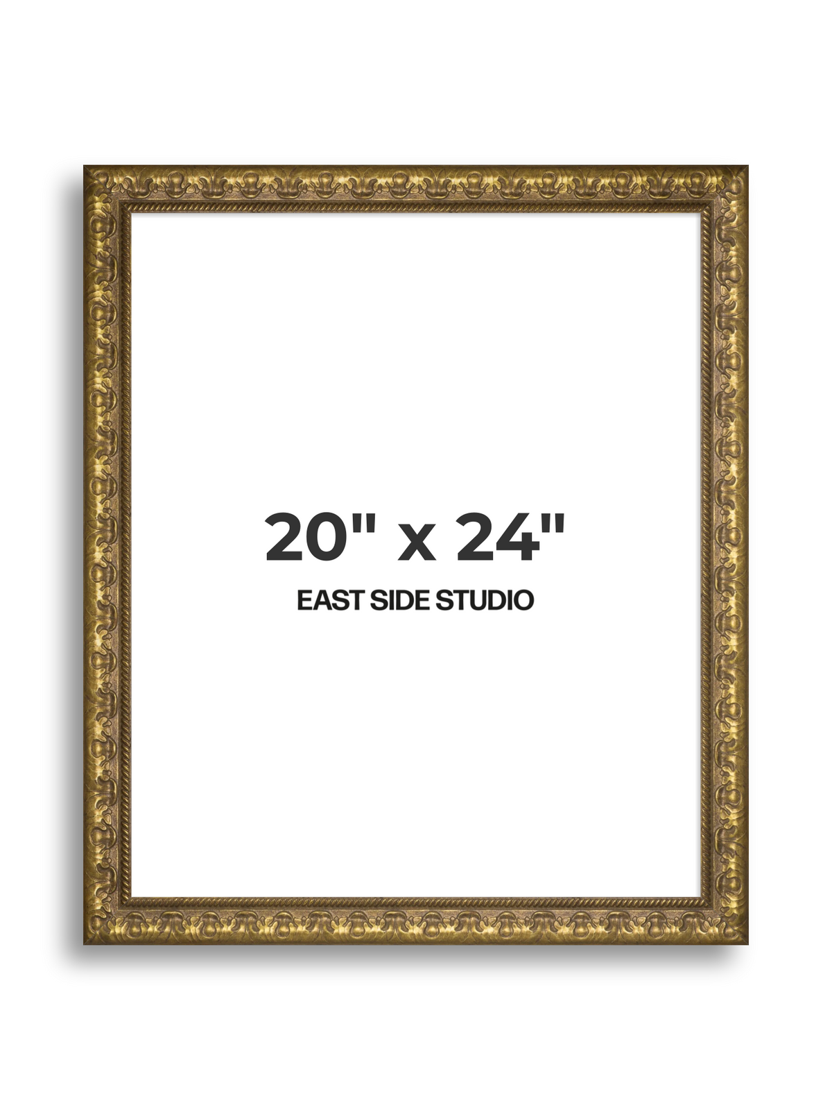 Plume Gold 20" x 24" picture frame