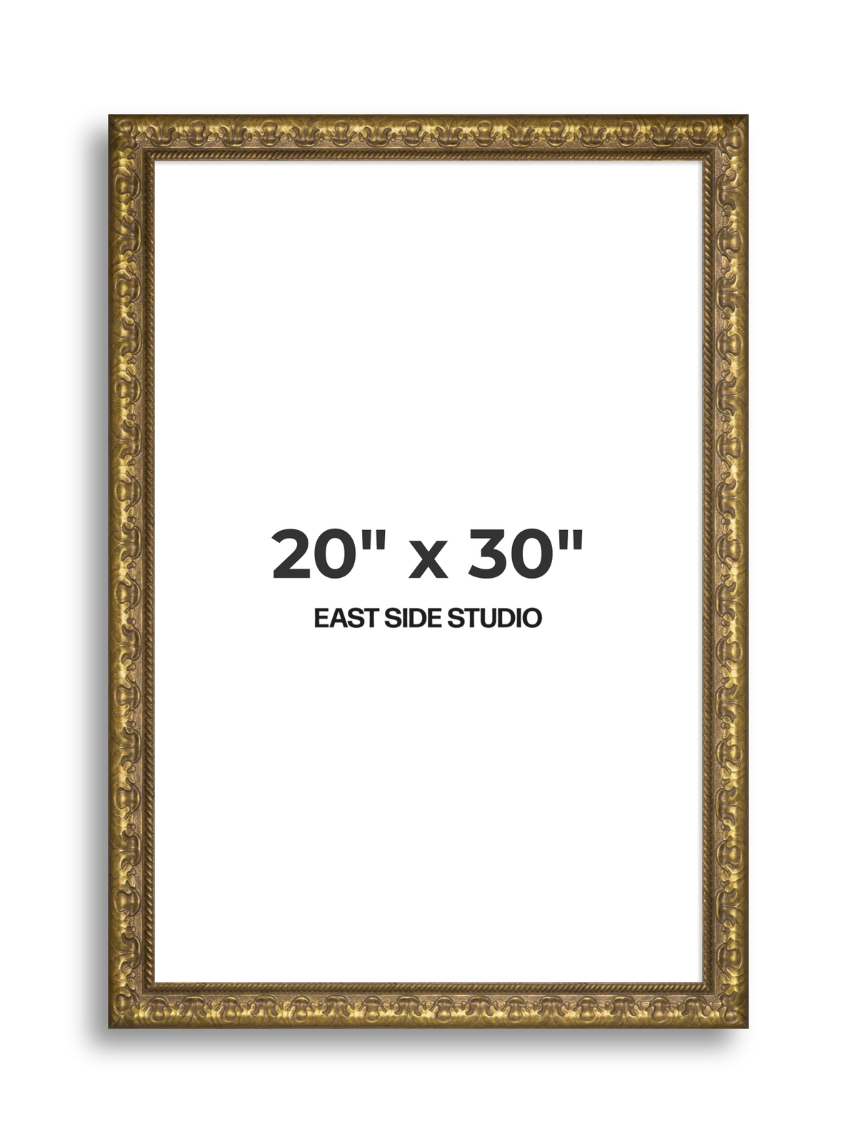Plume Gold 20" x 30" picture frame