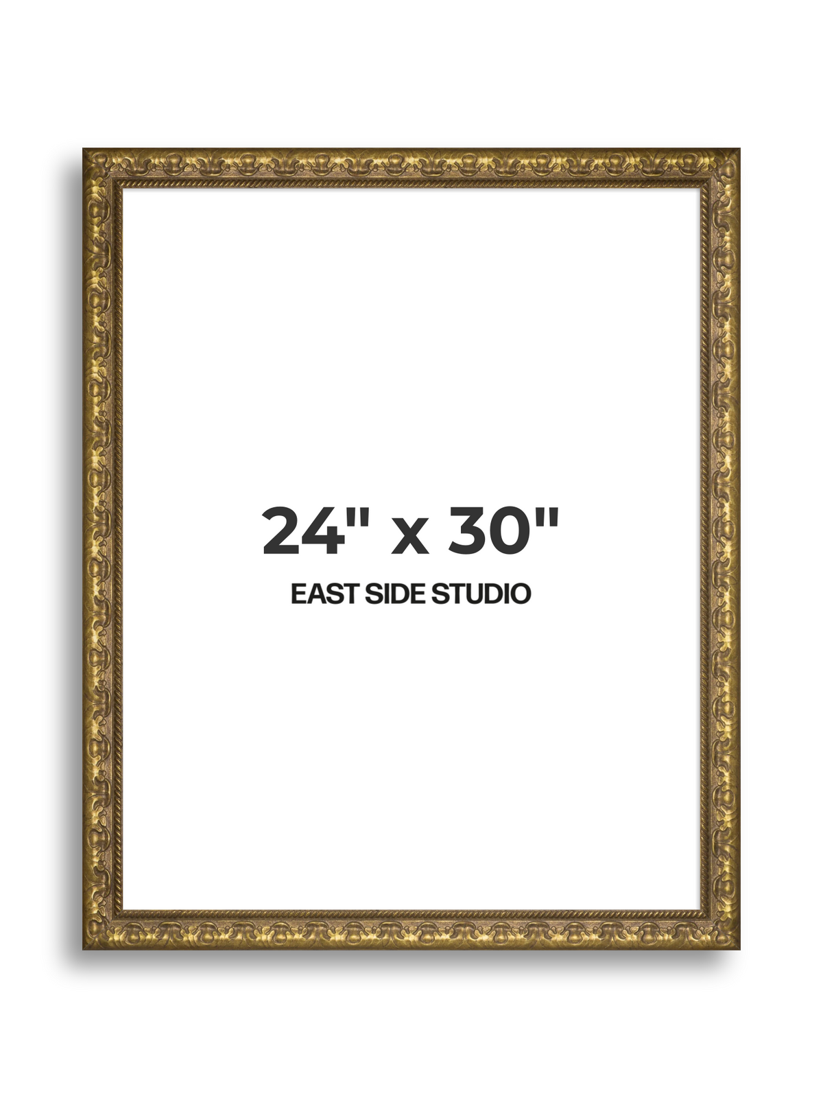 Plume Gold 24" x 30" picture frame