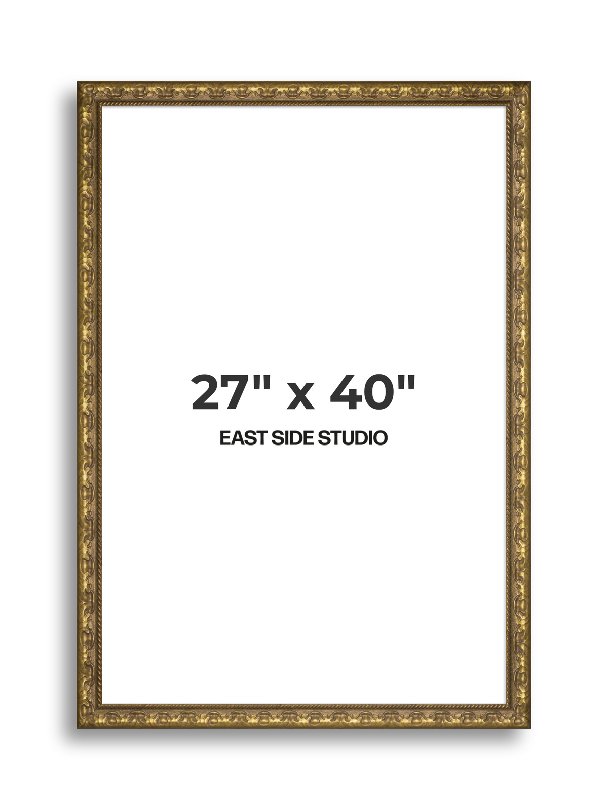 Plume Gold 27" x 40" picture frame