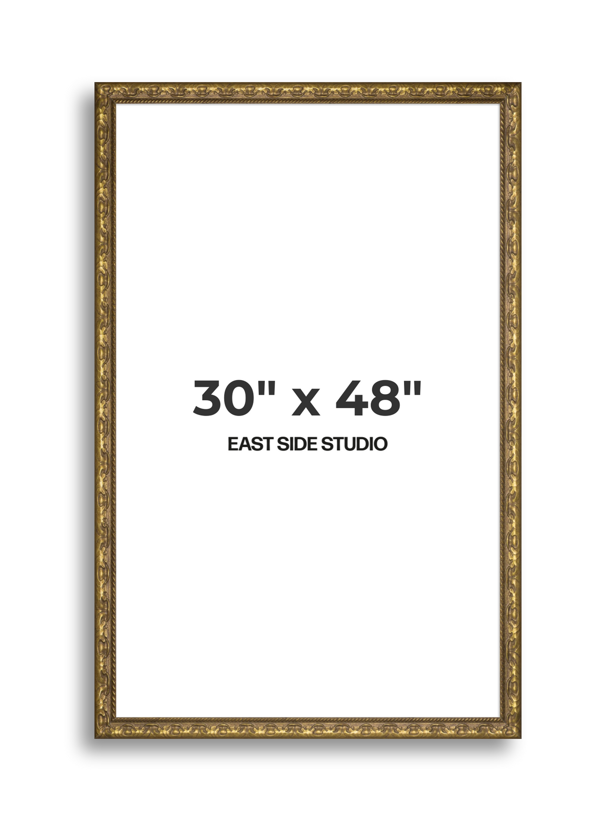 Plume Gold 30" x 48" picture frame