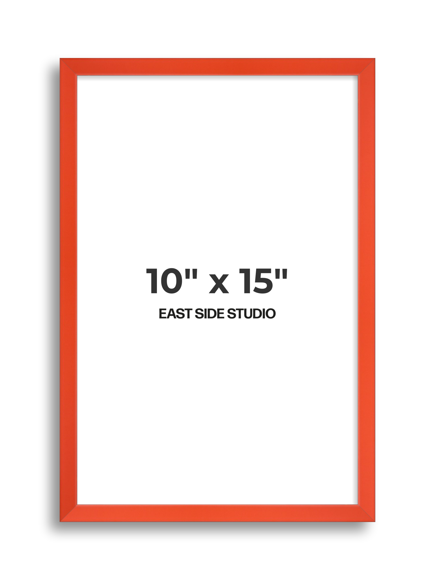 Tangerine 10" x 15" picture frame