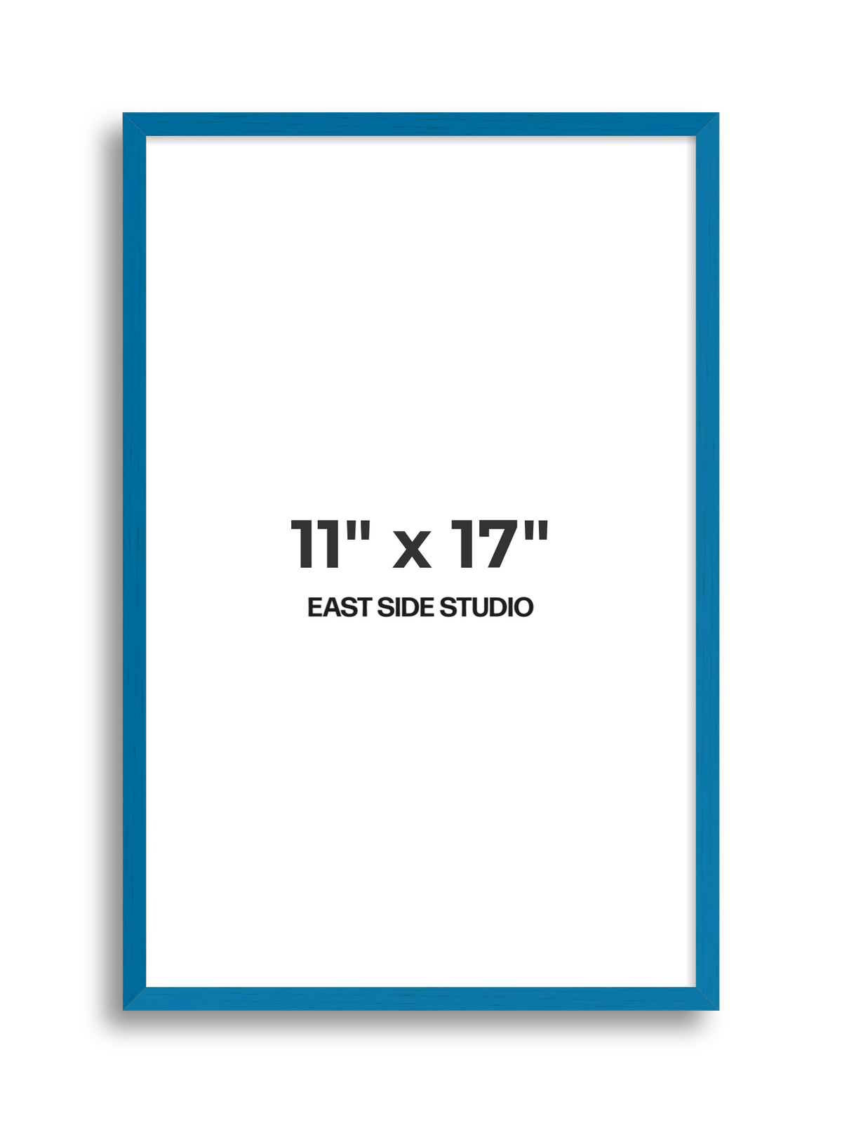 Duo Tone 11" x 17" picture frame