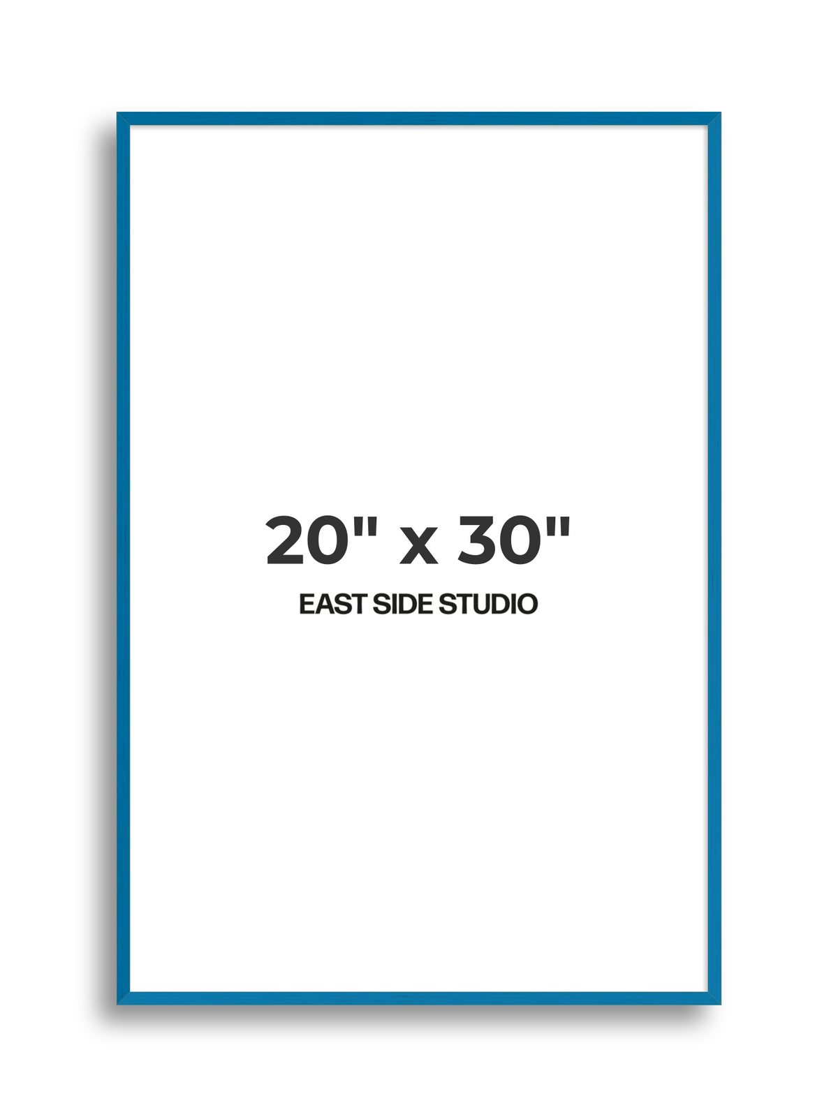 Duo Tone 20" x 30" picture frame