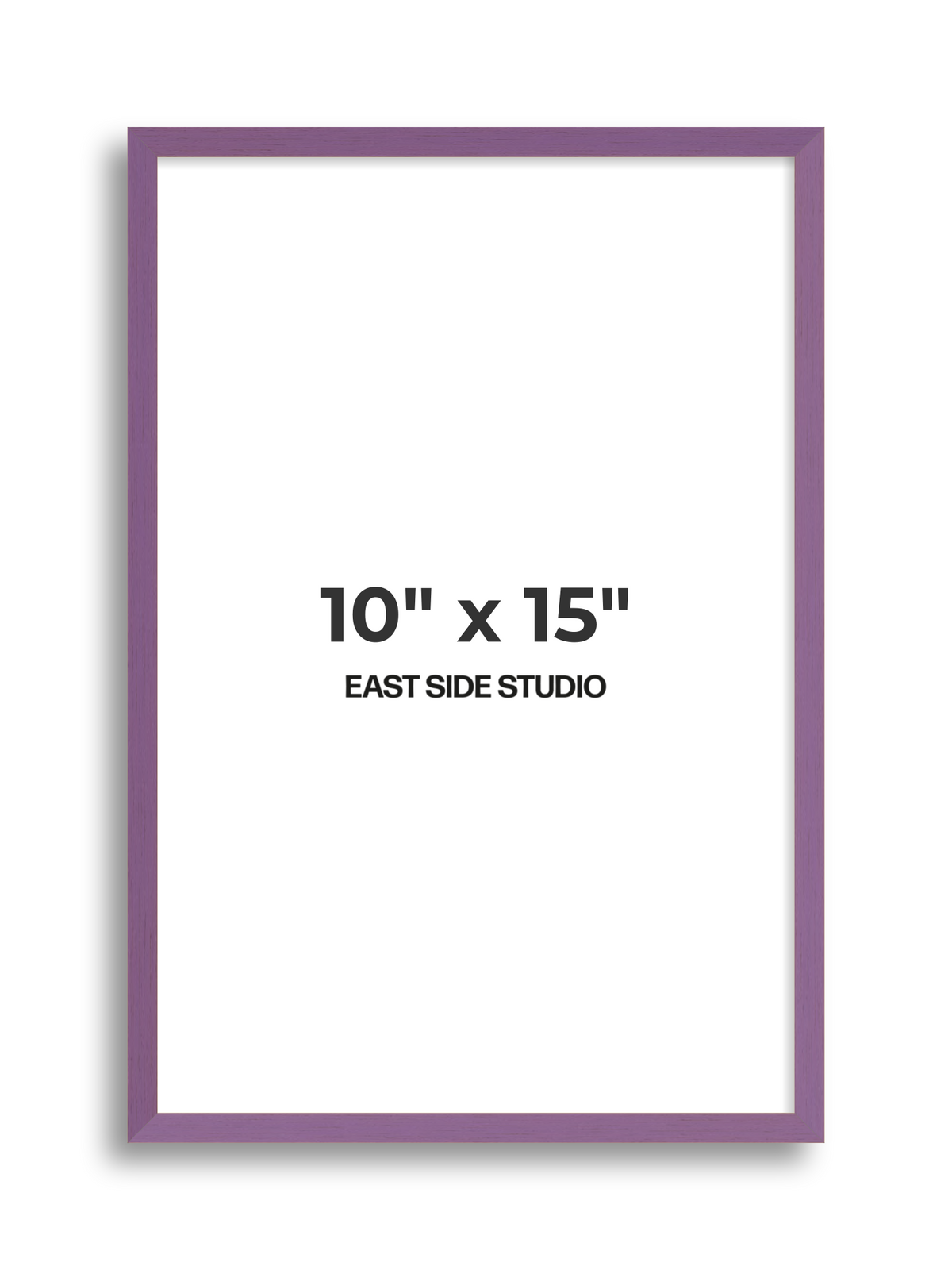 Duo Tone 10" x 15" picture frame