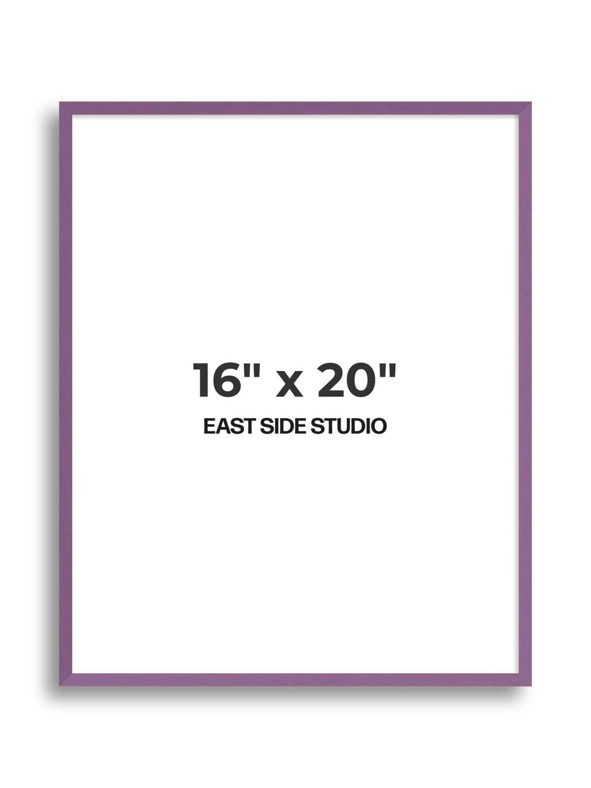 Duo Tone 16" x 20" picture frame