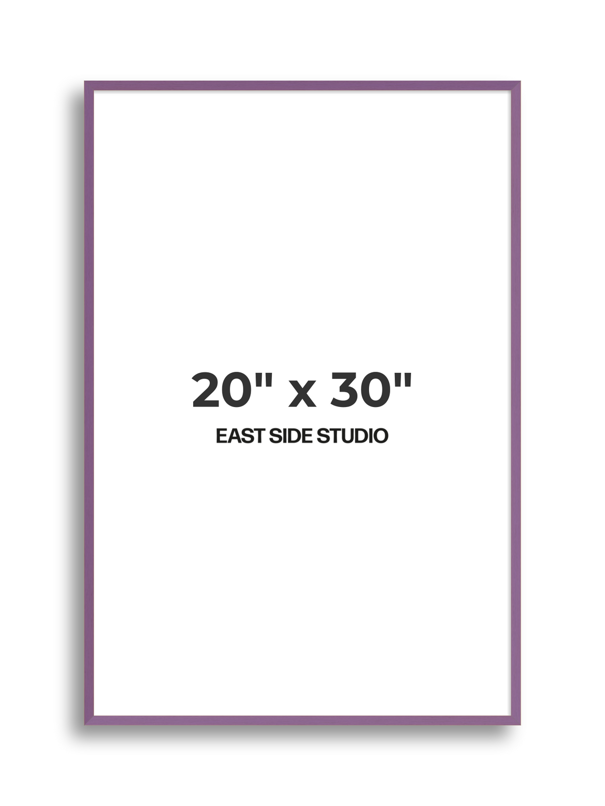 Duo Tone 20" x 30" picture frame