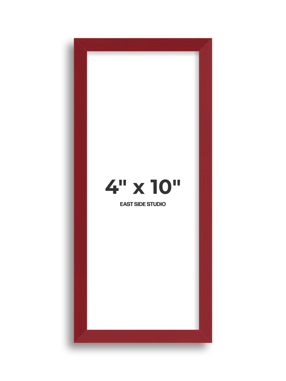 Duo Tone 4" x 10" picture frame