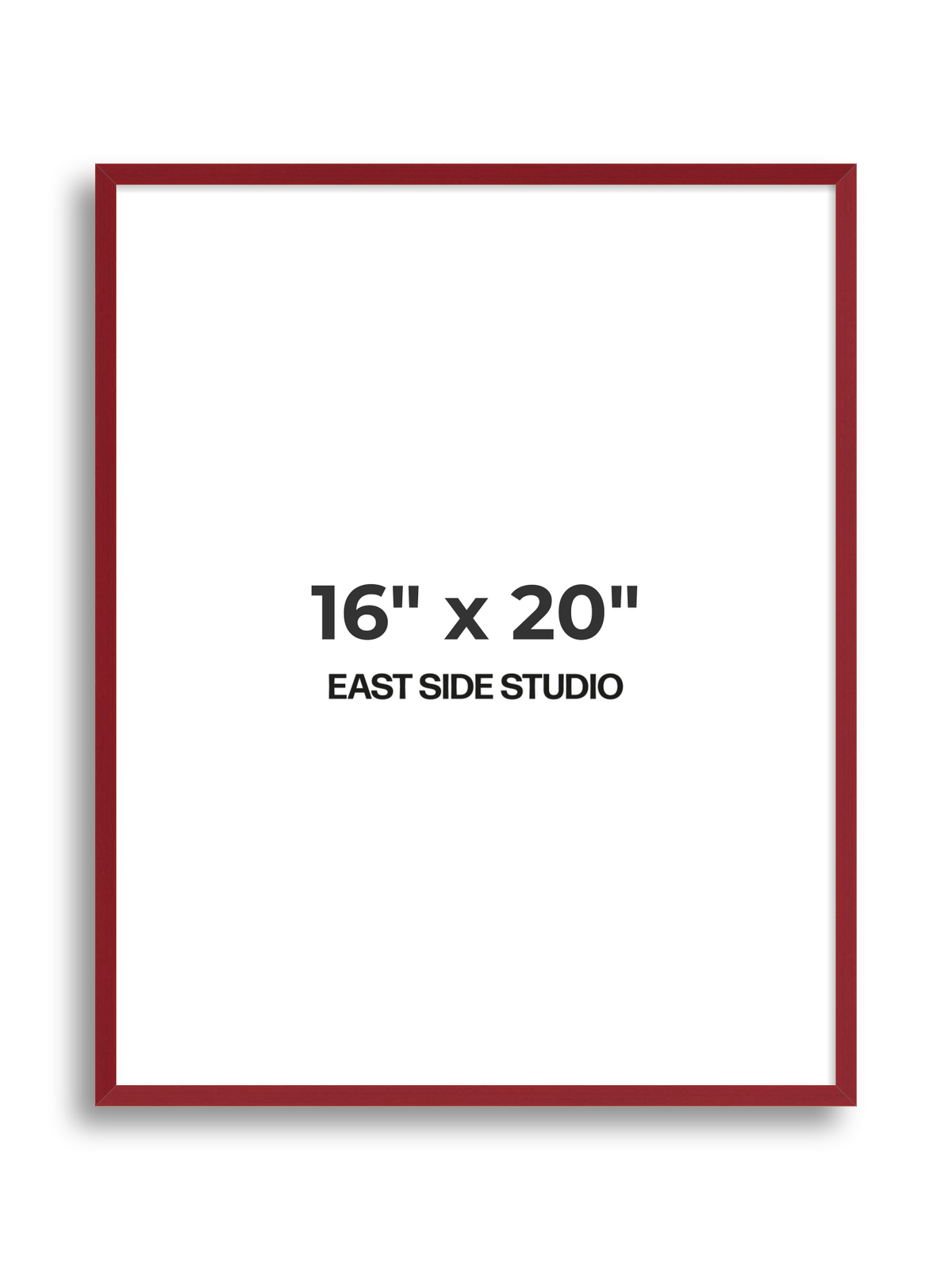 Duo Tone 16" x 20" picture frame