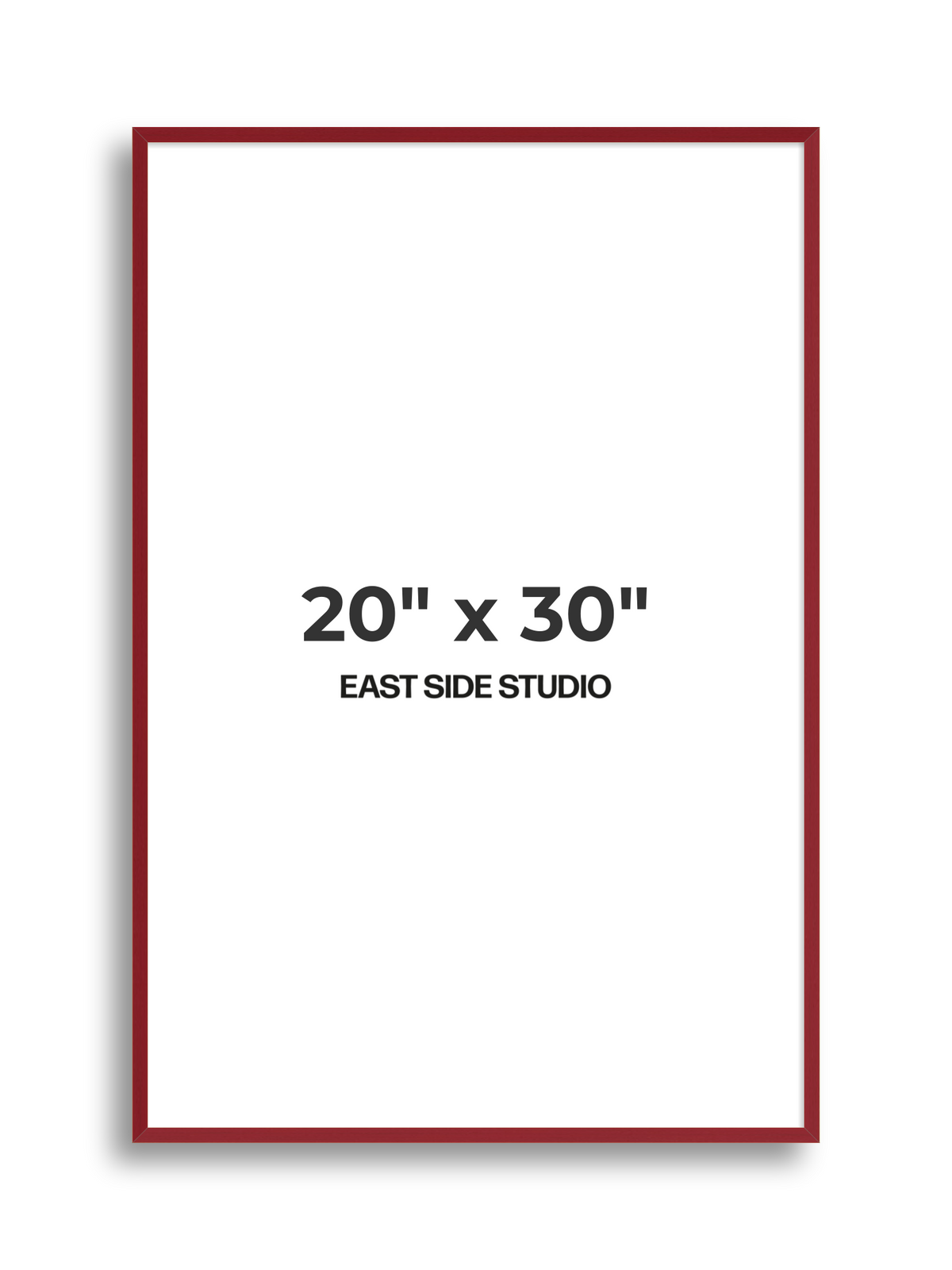 Duo Tone 20" x 30" picture frame