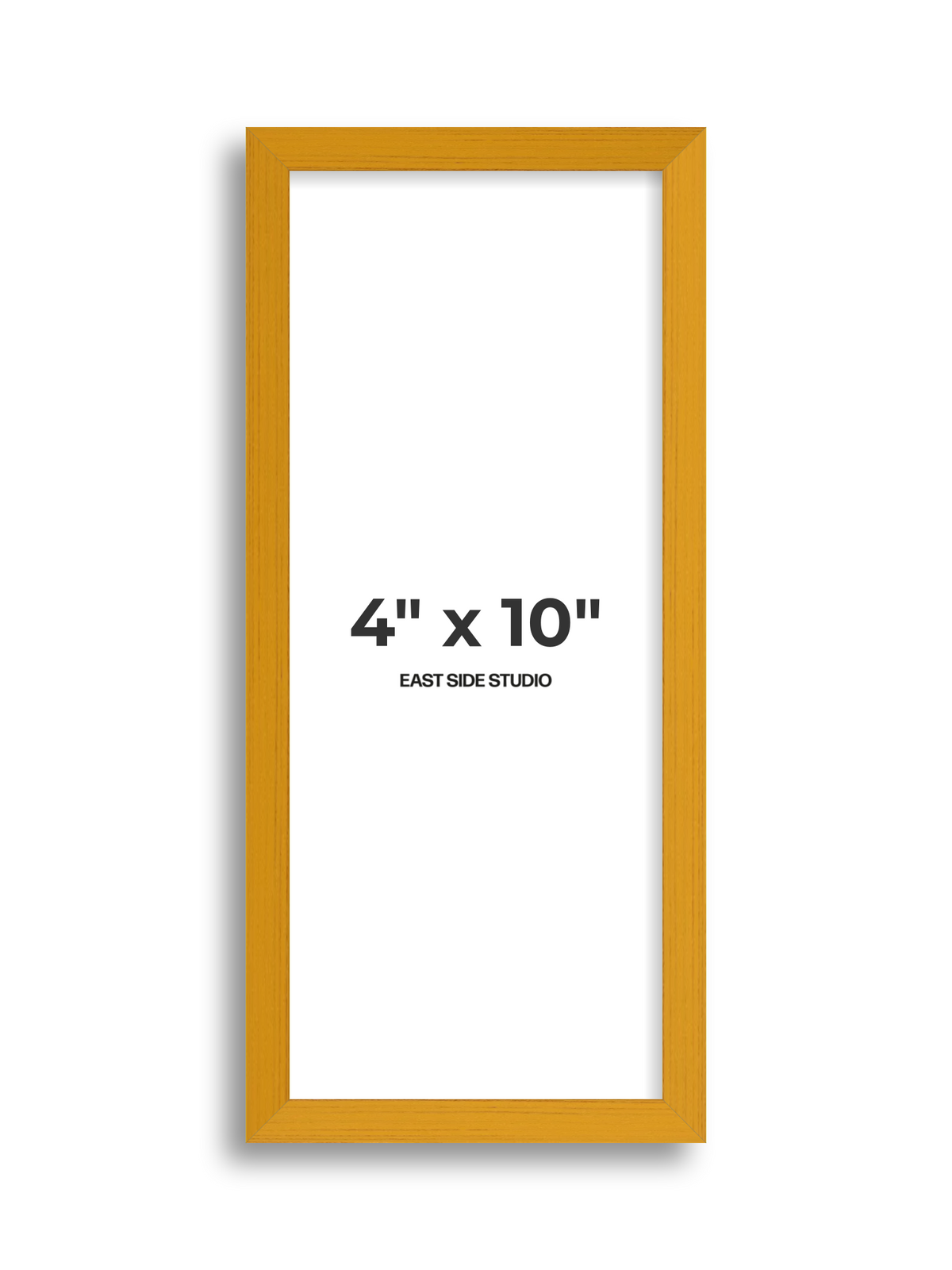 Duo Tone 4" x 10" picture frame