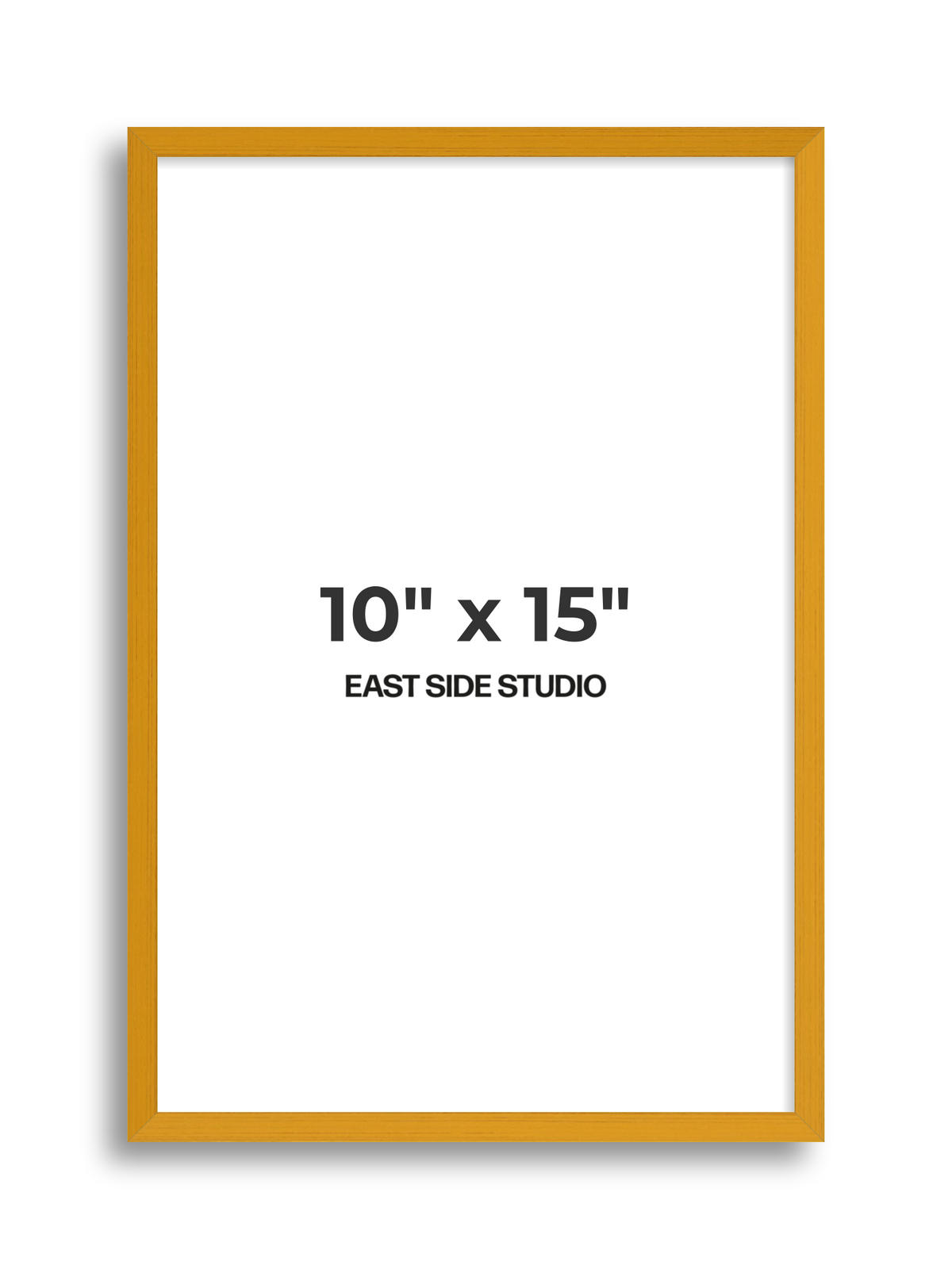Duo Tone 10" x 15" picture frame