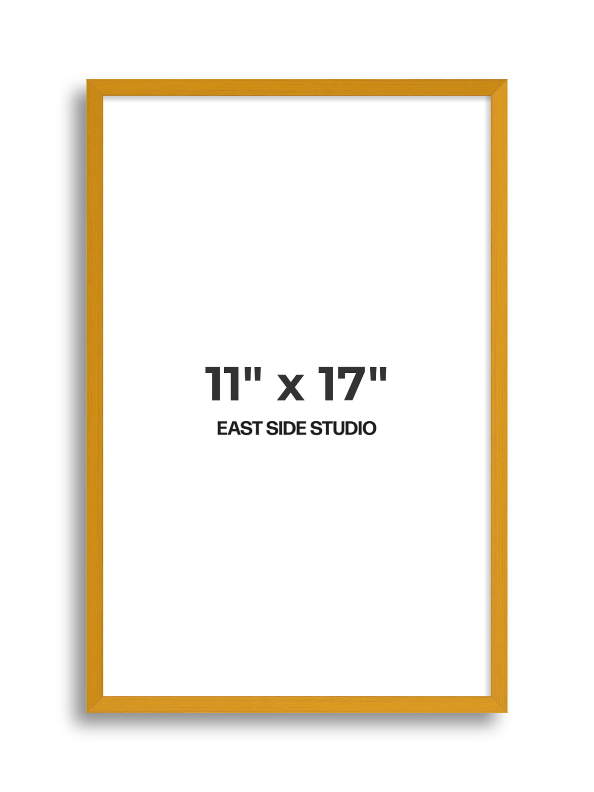 Duo Tone 11" x 17" picture frame