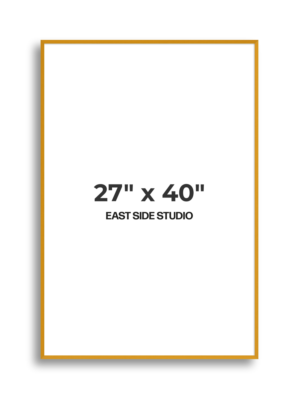 Duo Tone 27" x 40" picture frame