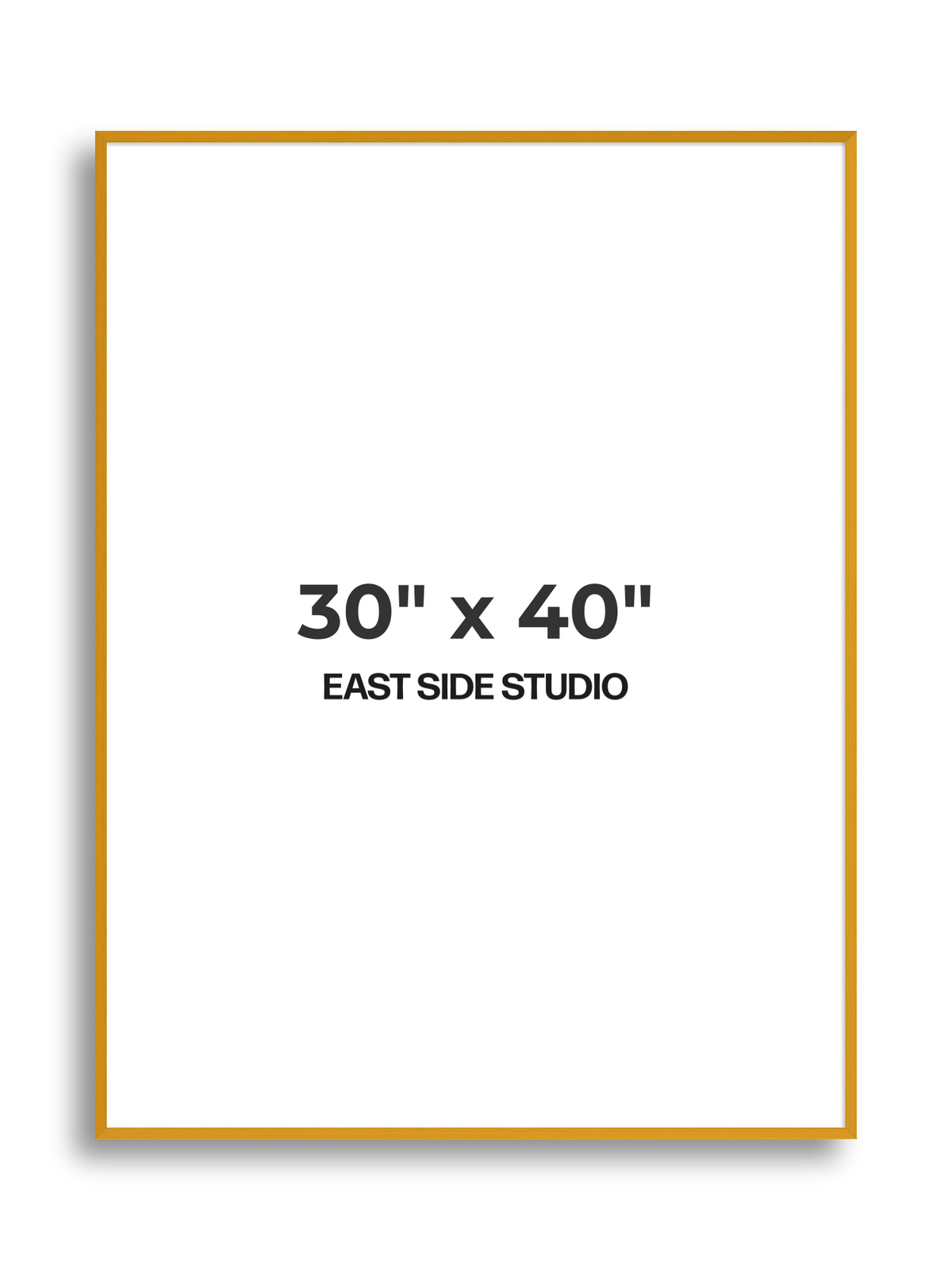 Duo Tone 30" x 40" picture frame
