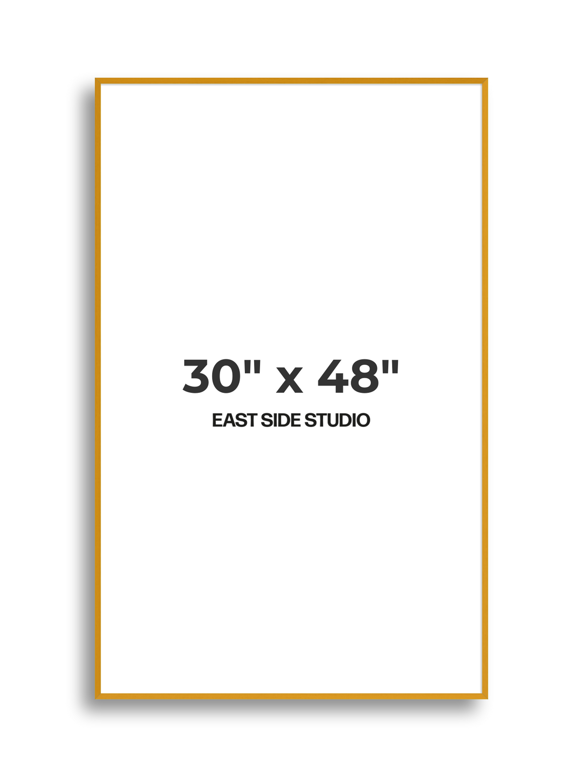 Duo Tone 30" x 48" picture frame
