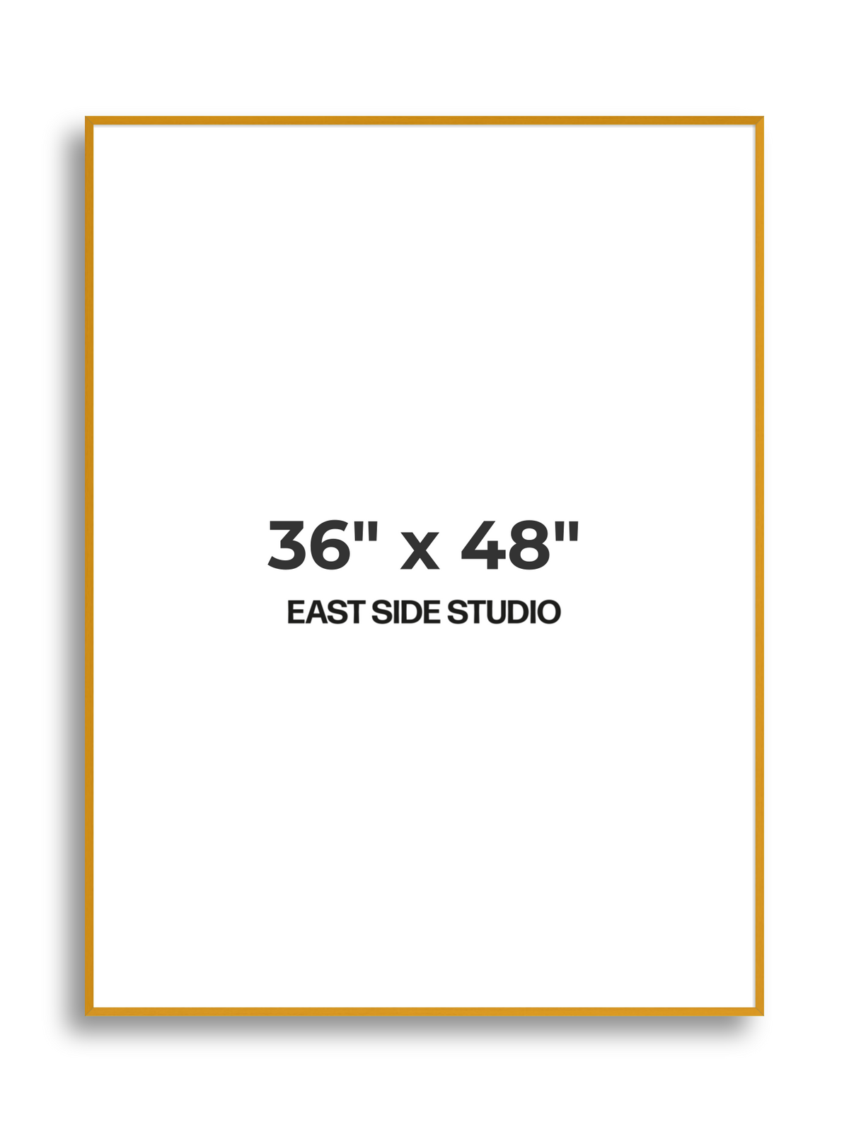 Duo Tone 36" x 48" picture frame
