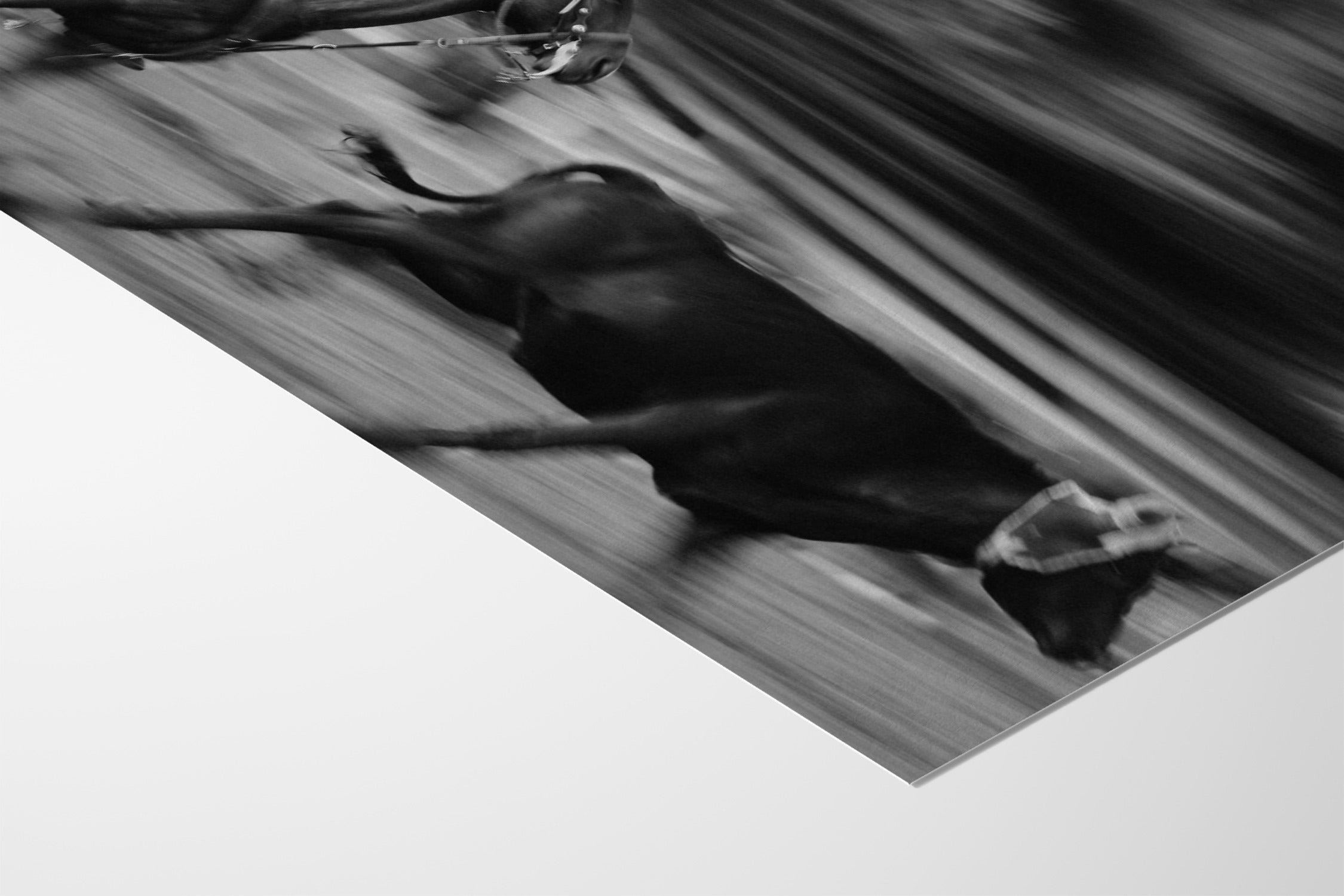 The Chase - Michael Potter - Fine Art Paper 200gsm |frame=Fine Art Paper 200gsm|