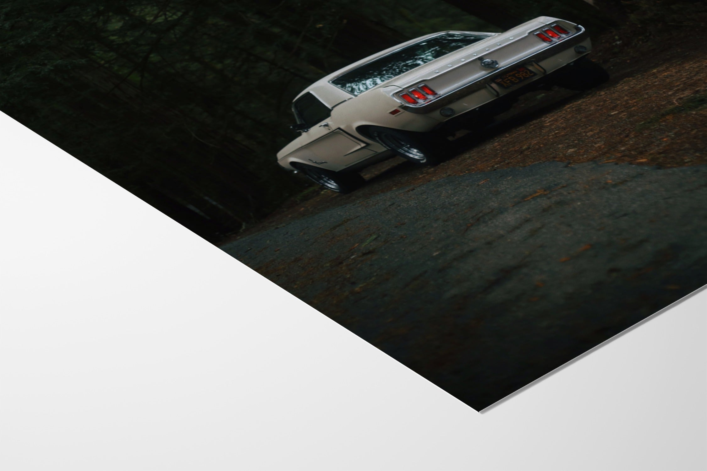 Woods - Gelstang - Fine Art Paper 200gsm |frame=Fine Art Paper 200gsm|
