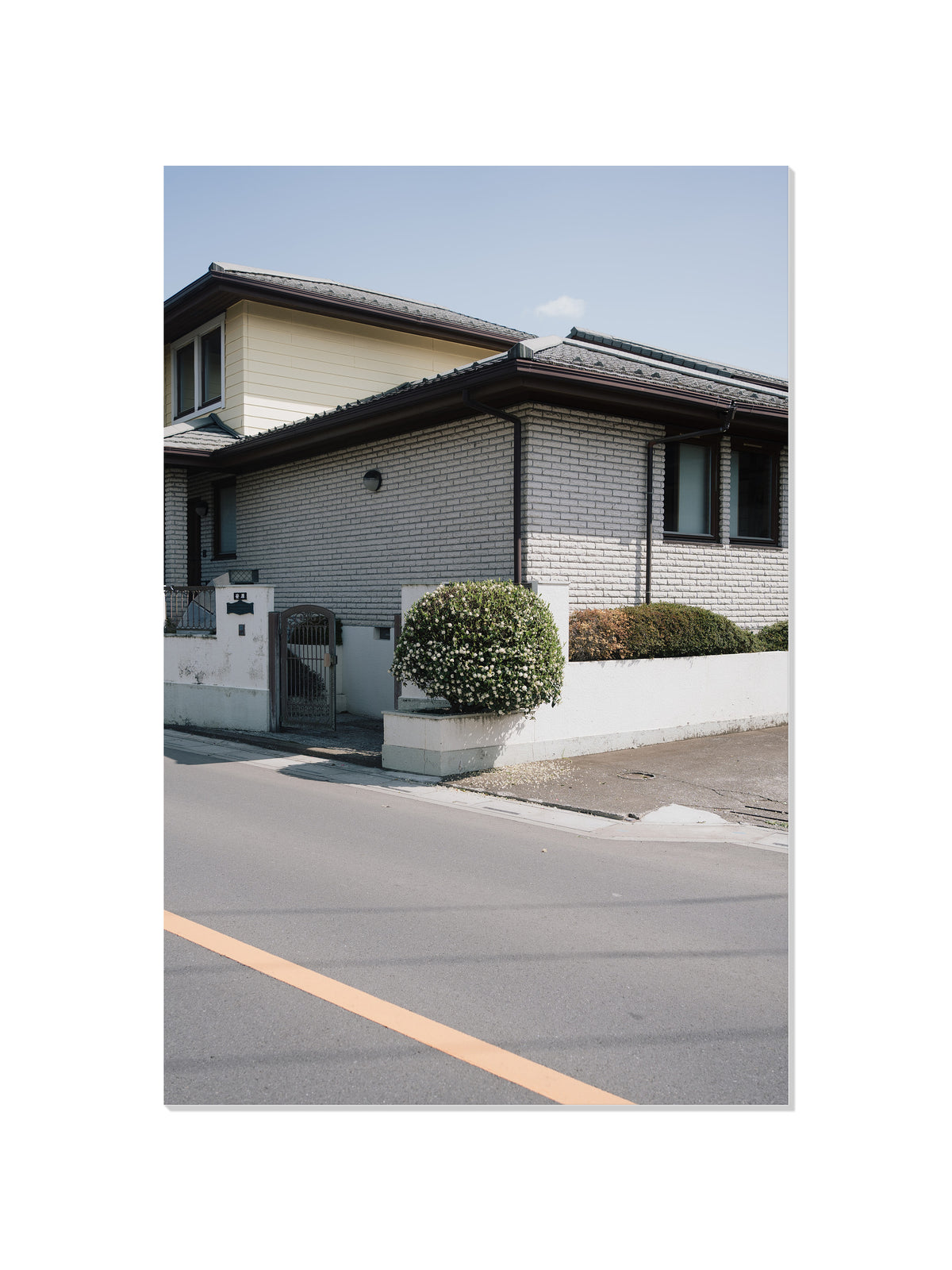 Fallen Petals - Jonny Gleason - Unframed |frame=Unframed|
