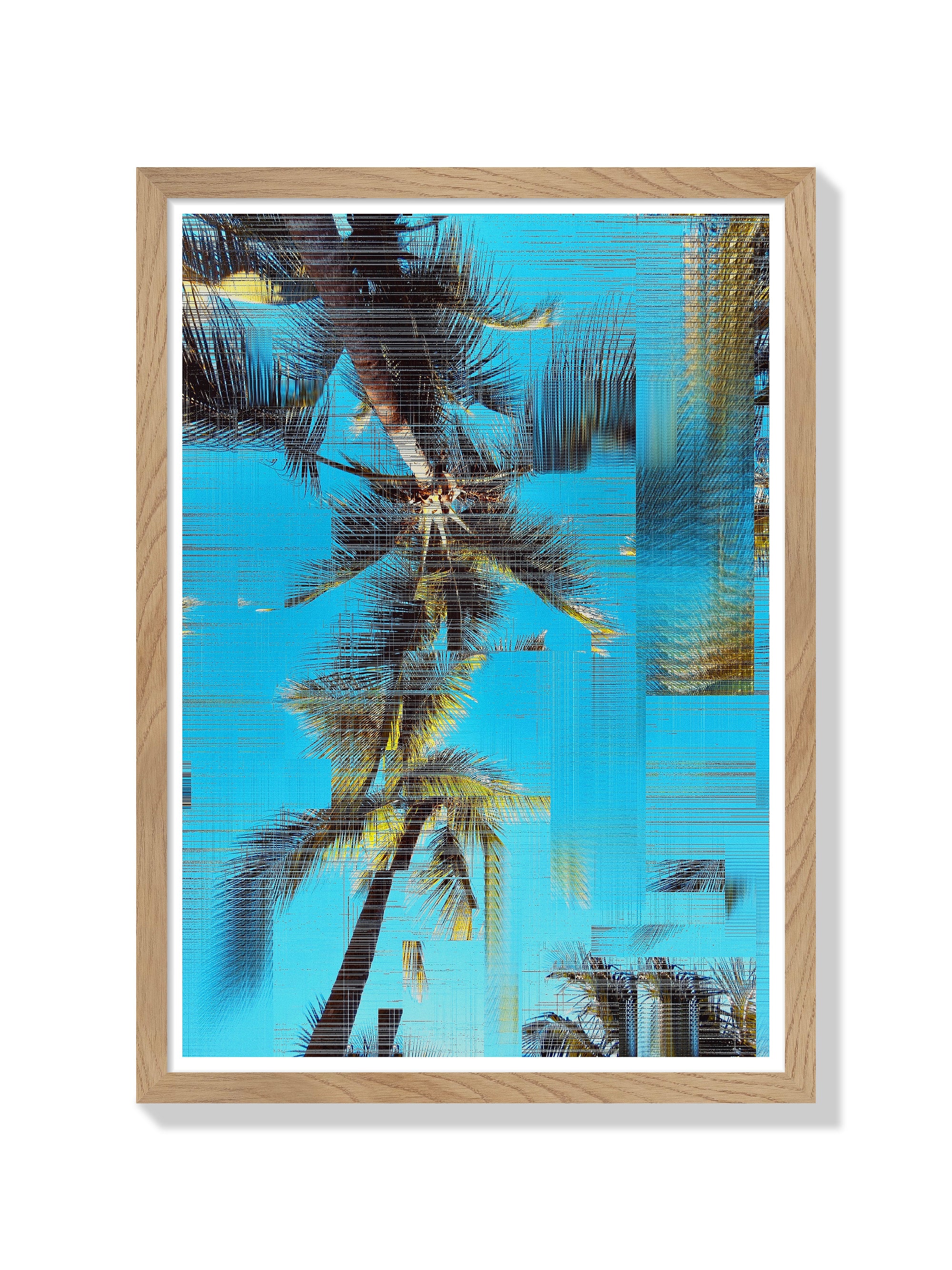 Arecaceae | Glitch 26.426 - Aaron Borchardt - Natural Frame |frame=Natural Frame|