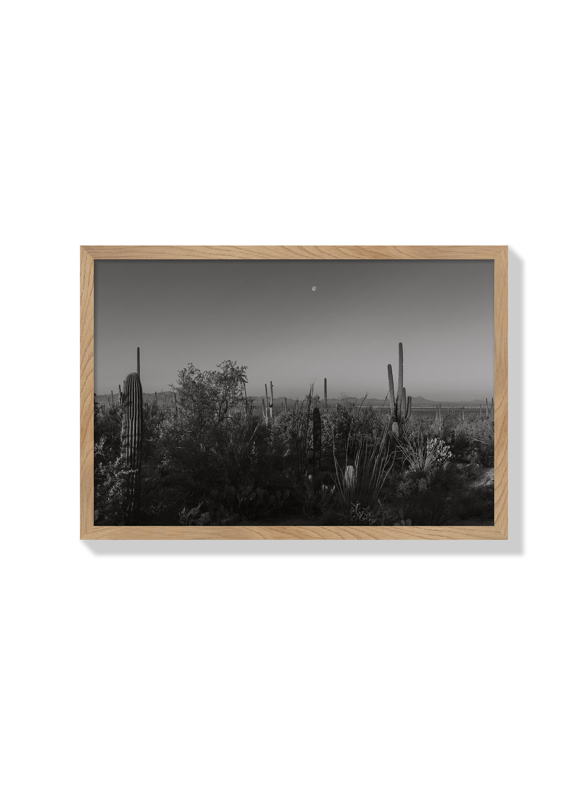 Moonlit Desert - Christina Bedetta Willett - Natural Frame |frame=Natural Frame|