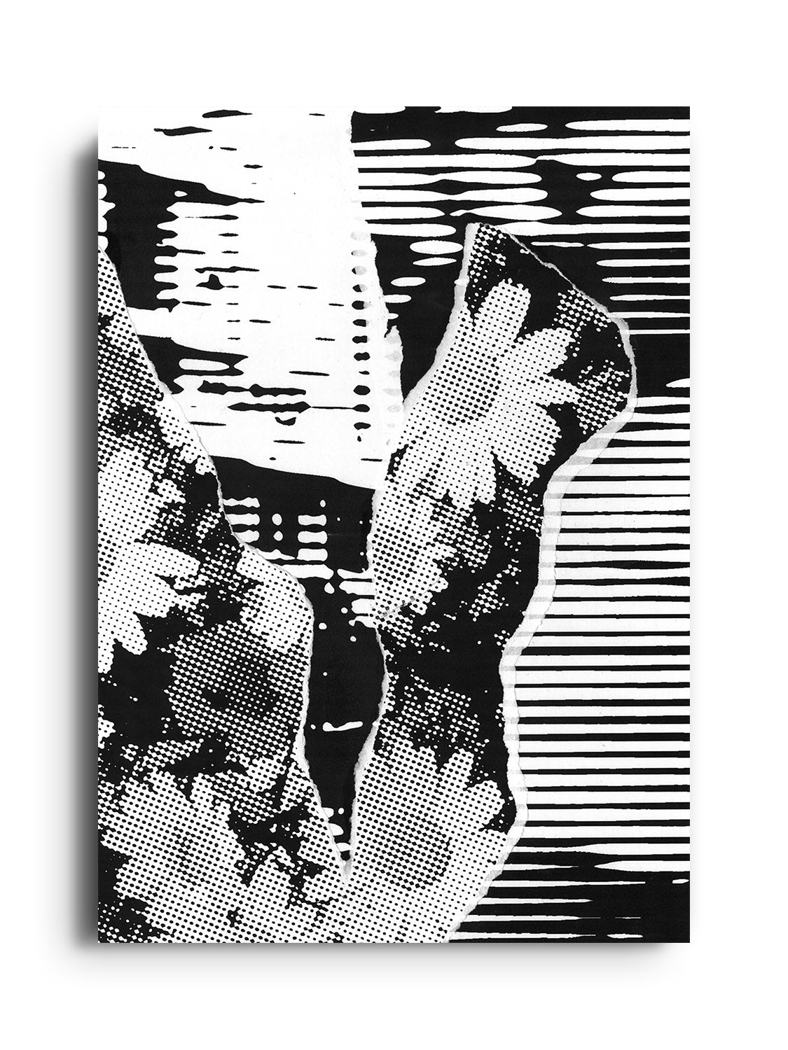 BLOSSOM - Chico Leong